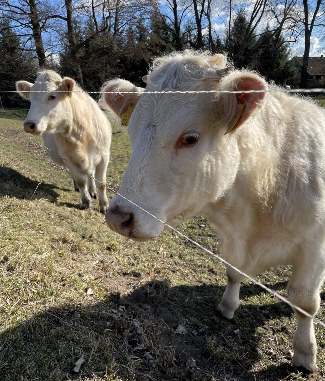 9D3AC959-914E-4D37-BD2E-40B3948EDCEE