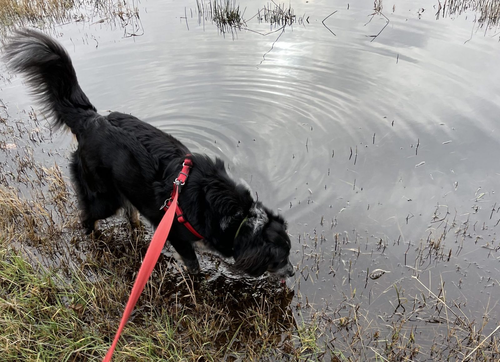 9D56AB92-EFC2-41D8-899B-108D17B63DA5