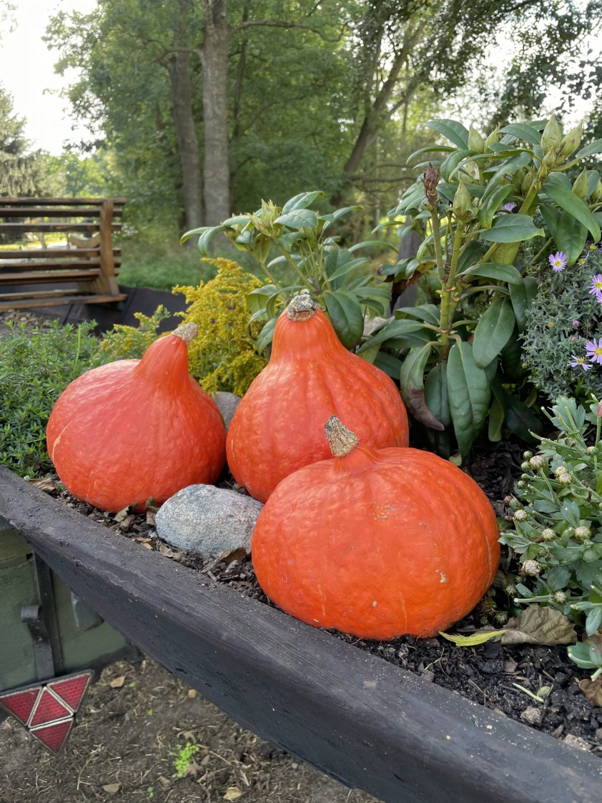 9D687E6A-3412-479E-B56D-DFD8DFD052DF