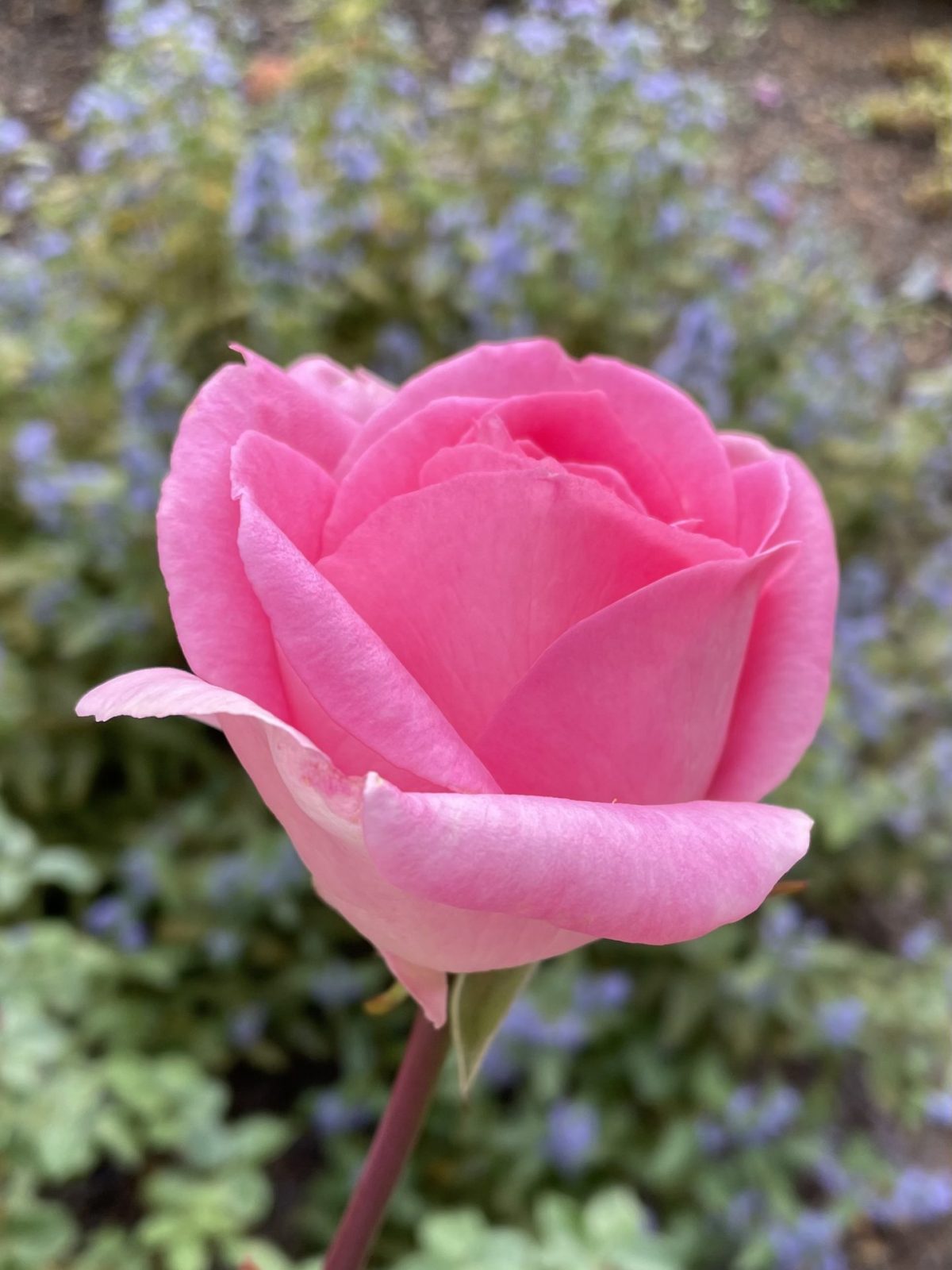 9E23EABE-1D6D-44FD-B100-386565F4064F