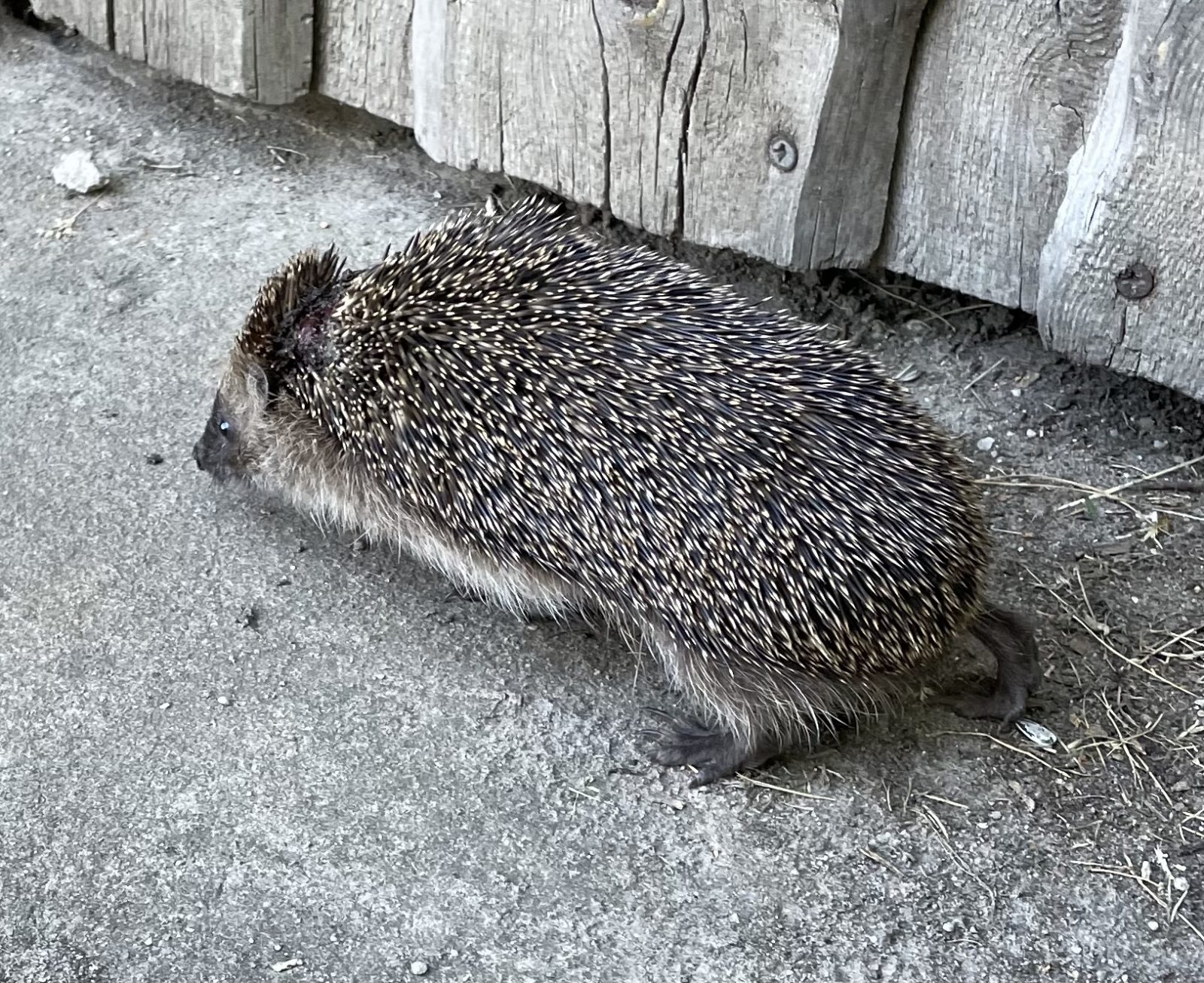 9E284E71-C817-4971-A215-3C3BCEFFA3C3