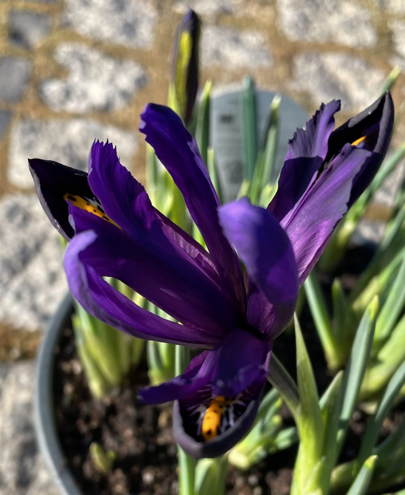 9EC3BEE6-C98D-40A3-83C9-707ECF0A1161