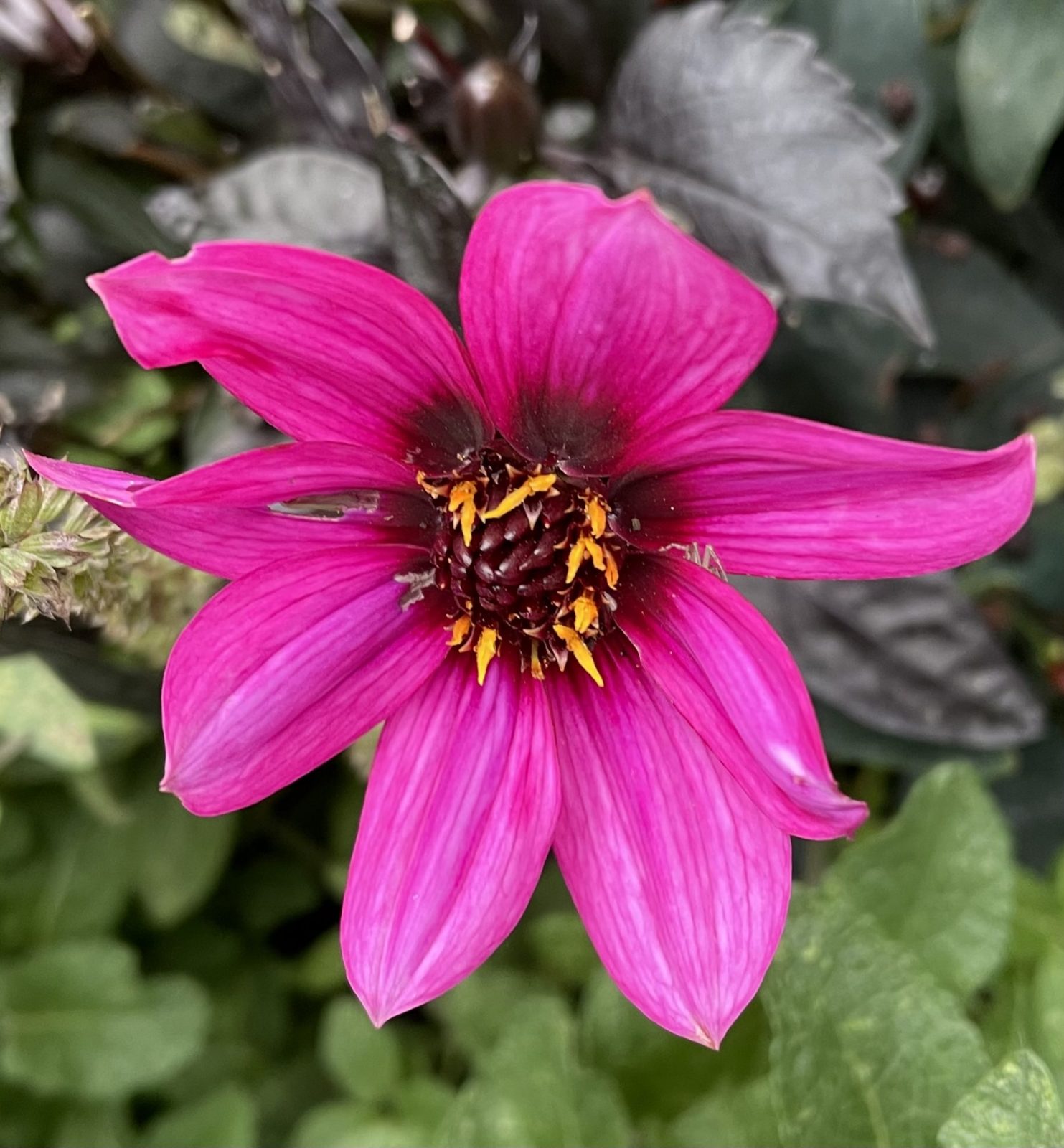 9F3D9DFB-2F17-480C-A730-1A01E55A9B9B