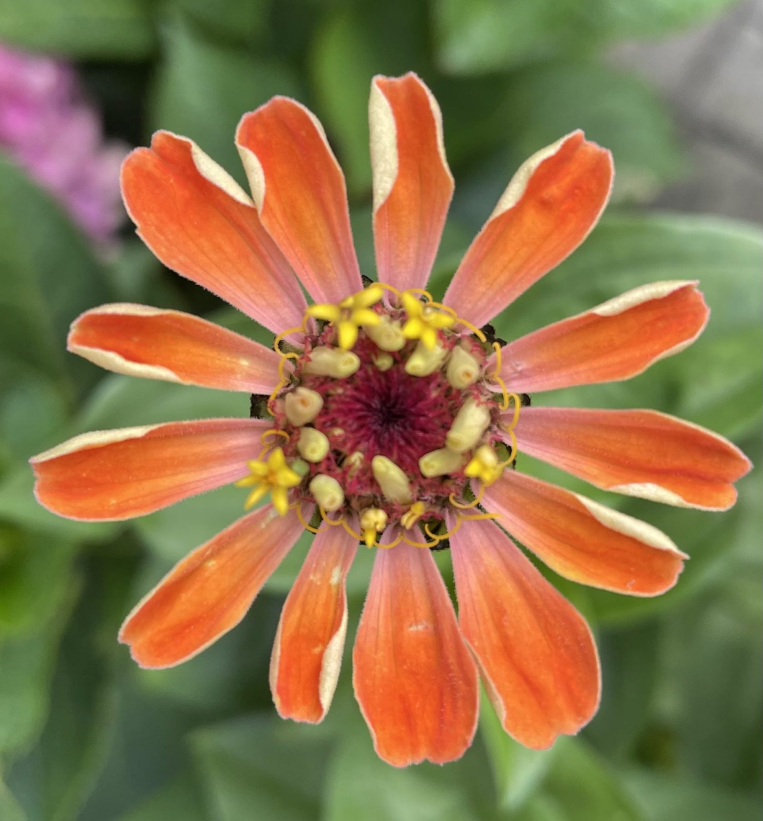 9FC1ECD4-D7B9-4A64-BE1D-84B7DBD3BB39