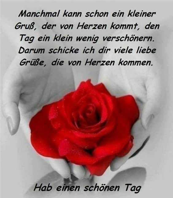 9a6359a4c3f848d987342c1f17df9c2a