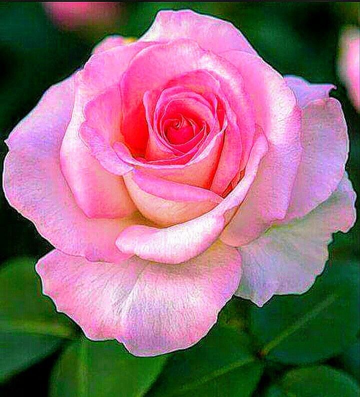 9faefc570612790bffb1d376c1baf44b