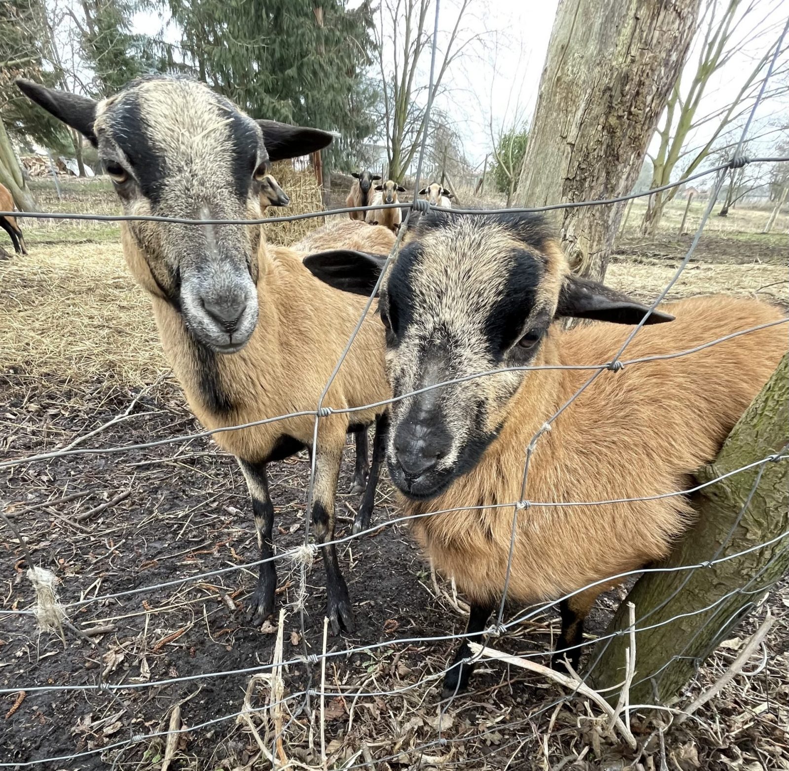 A004DC05-72BA-4DCA-B4E0-0DD704FC55BA