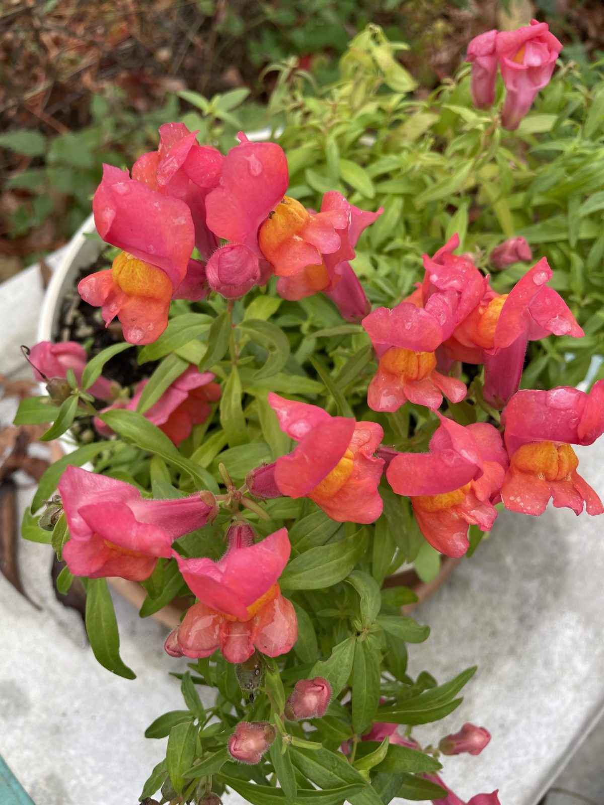 A09F69D4-56BB-43B2-AFE8-4855B44A9E3E