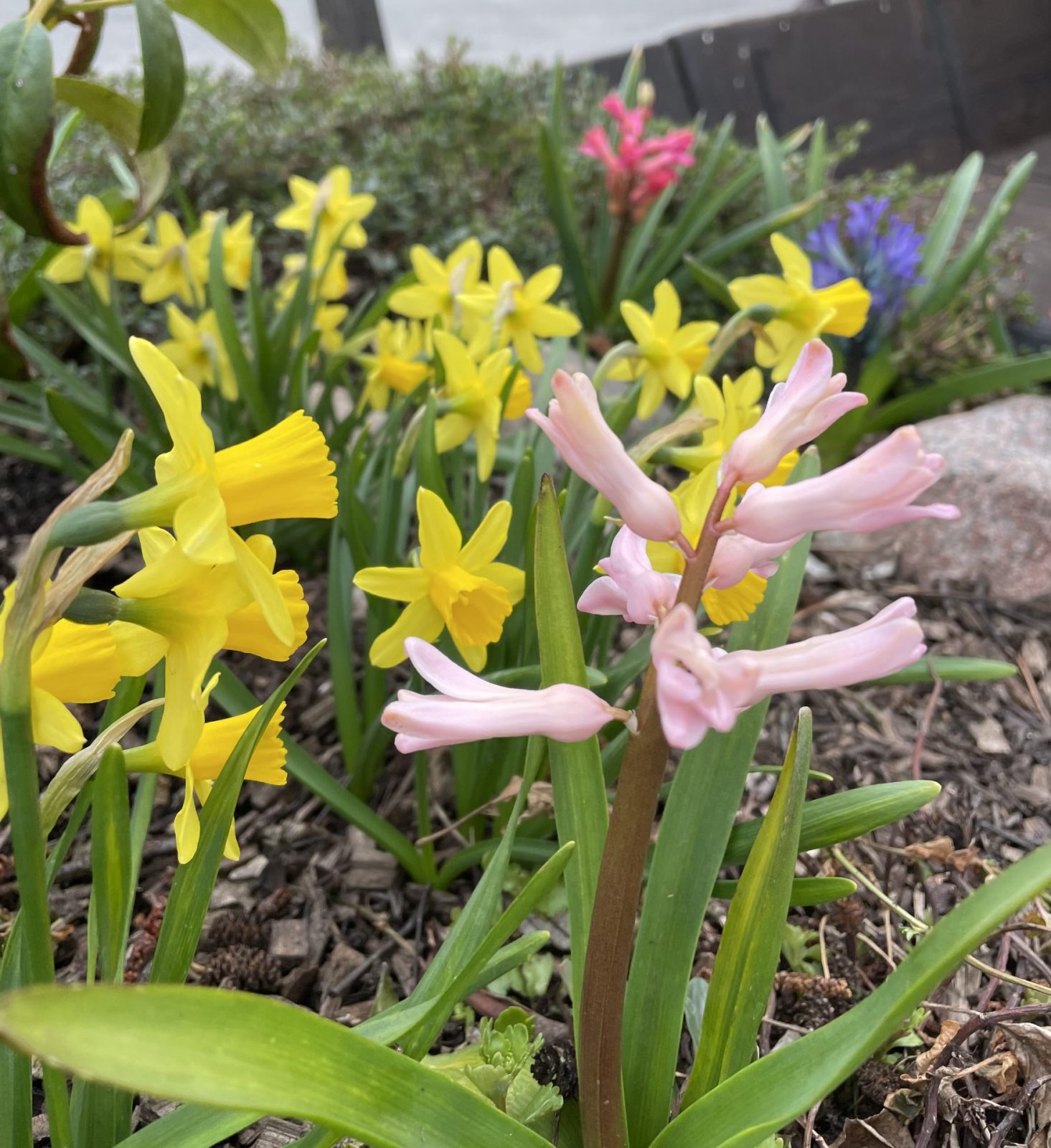 A15BD275-D068-40B1-8AF0-72EA899D8125