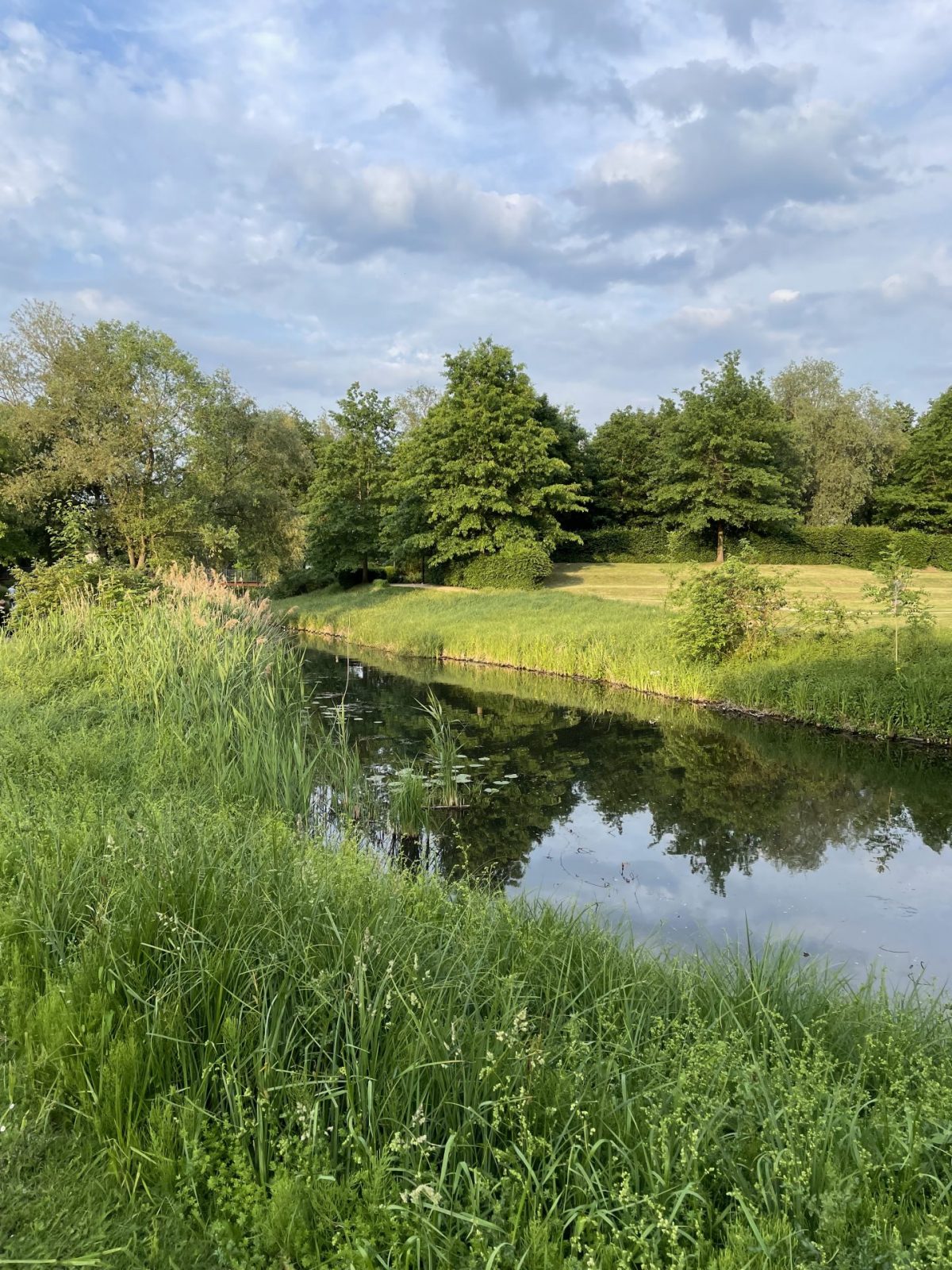 A1D5E1A6-DD36-4076-9D69-2BE550D89075