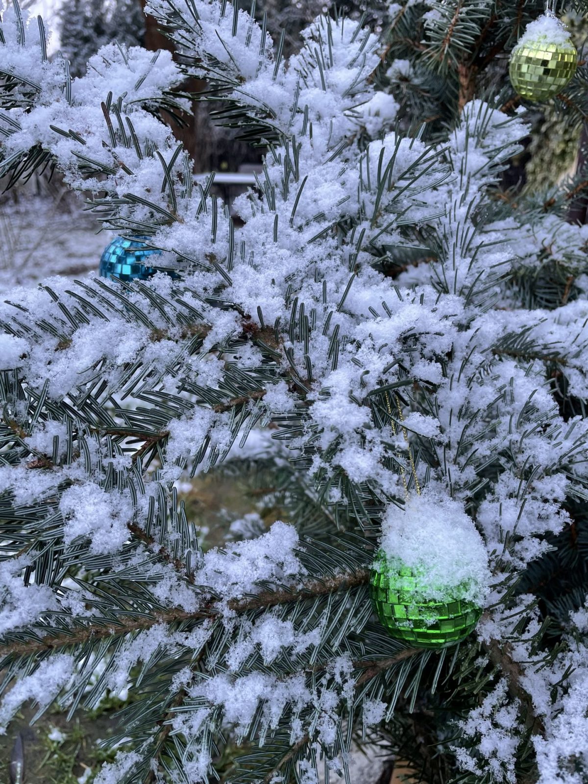 A1FDCE35-CB9E-4435-9108-25FB4A244223