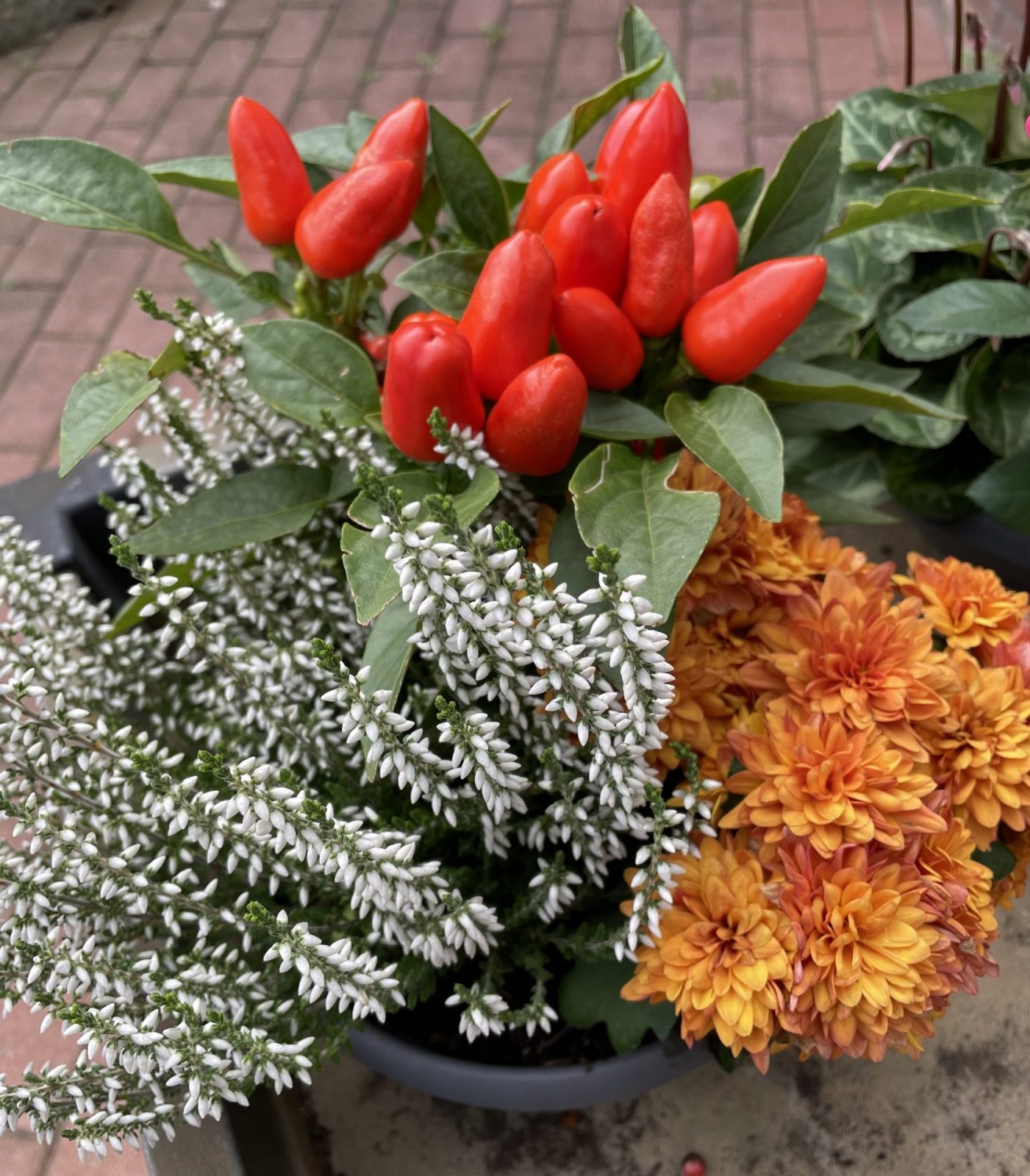 A227DD15-A0F9-4F5B-91CA-65A9431E5F46