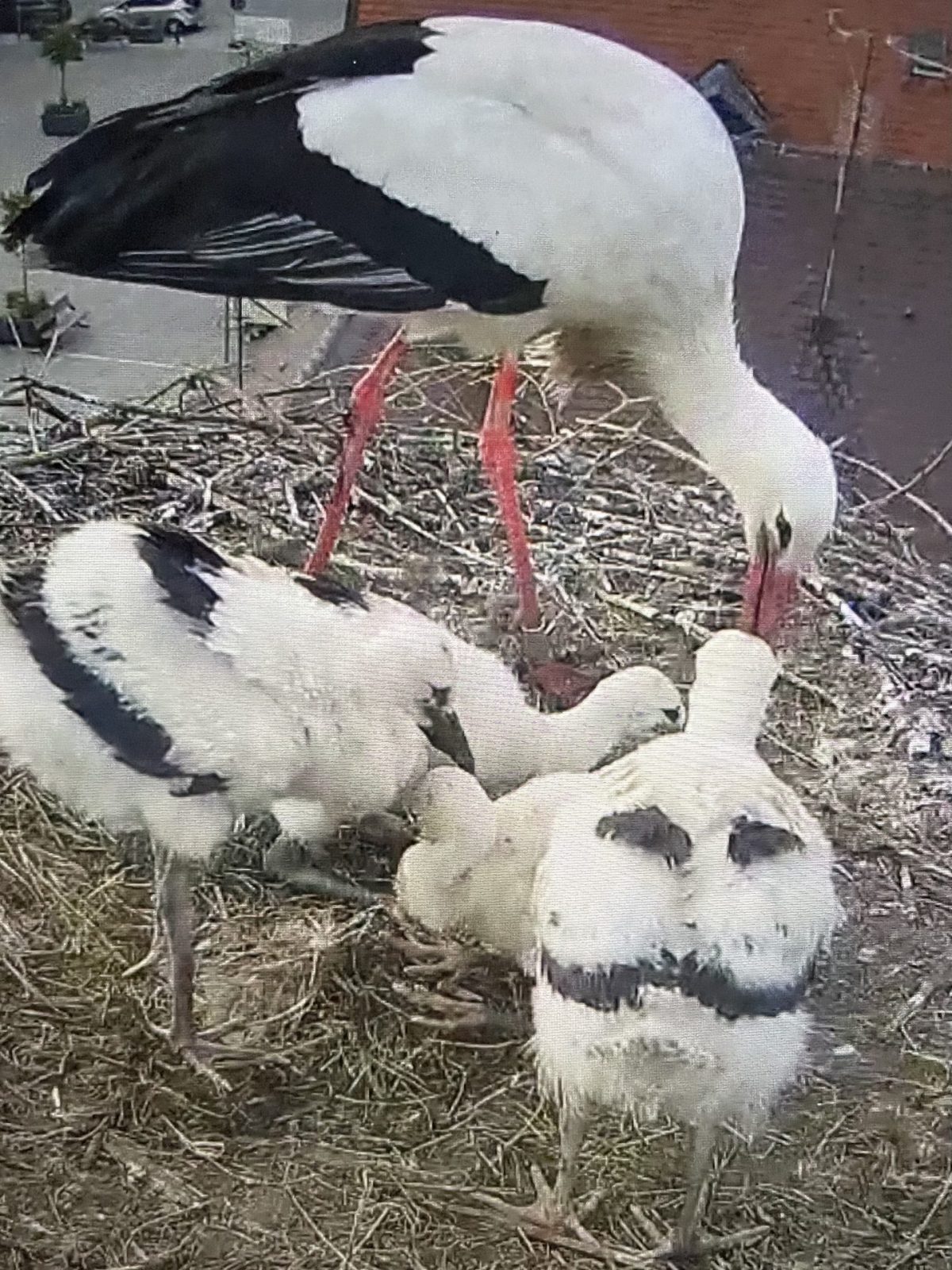 A28FF01C-DC63-47DC-B8BE-ABC2C5313B8E