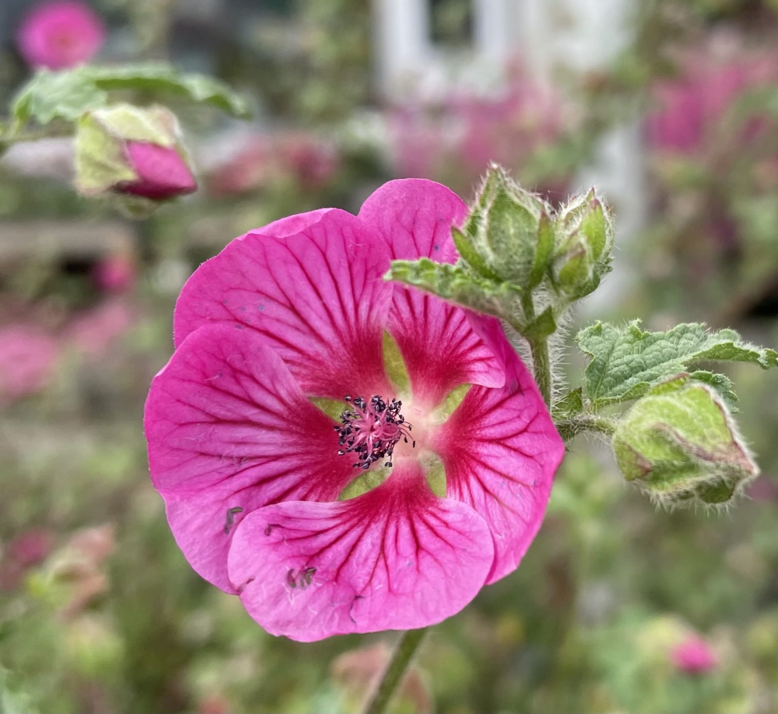 A2976F94-57D7-467E-85FB-505CF7130255