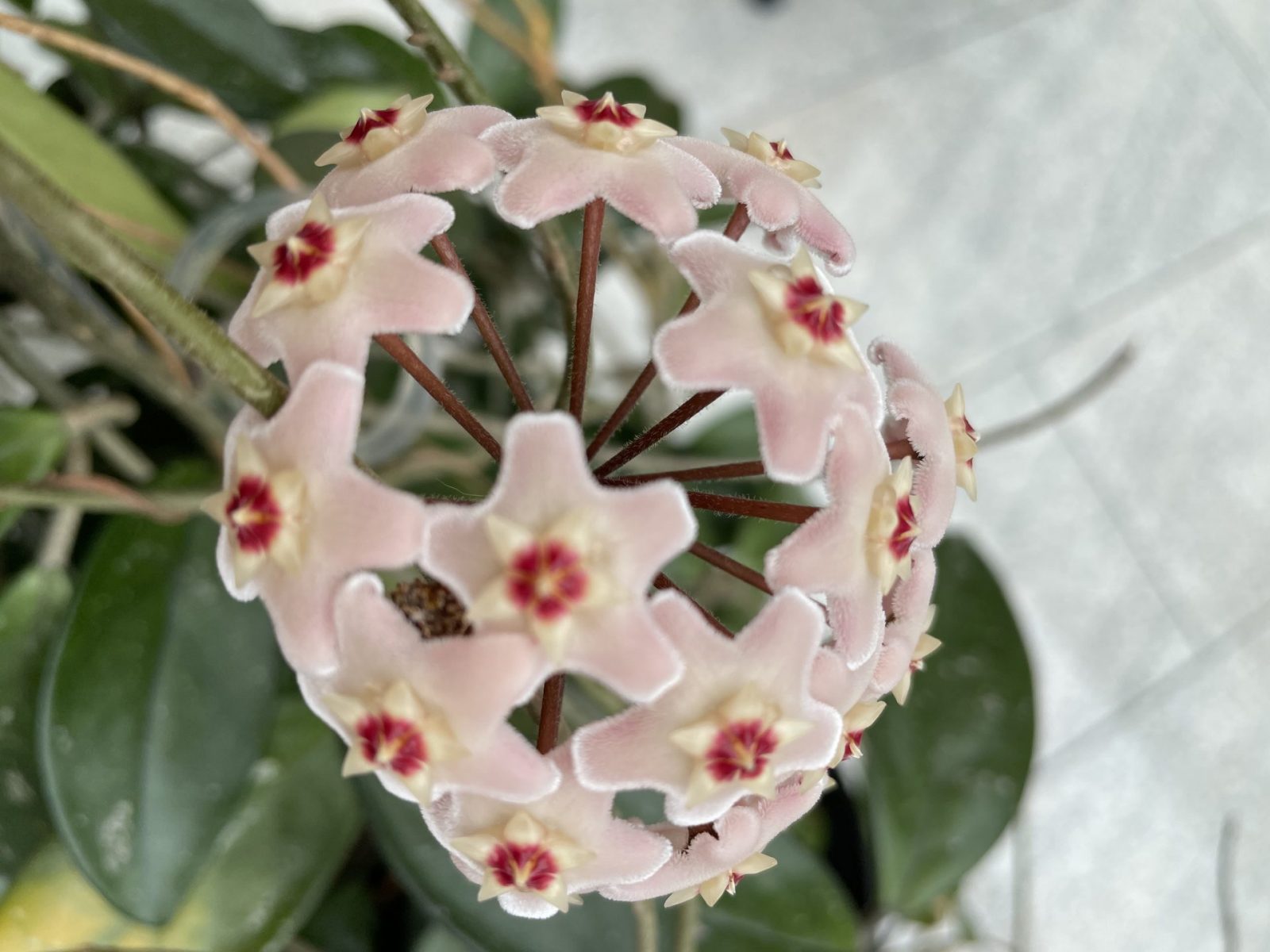 A2BA732E-7C27-457D-AB7E-BC3D9D0A0269