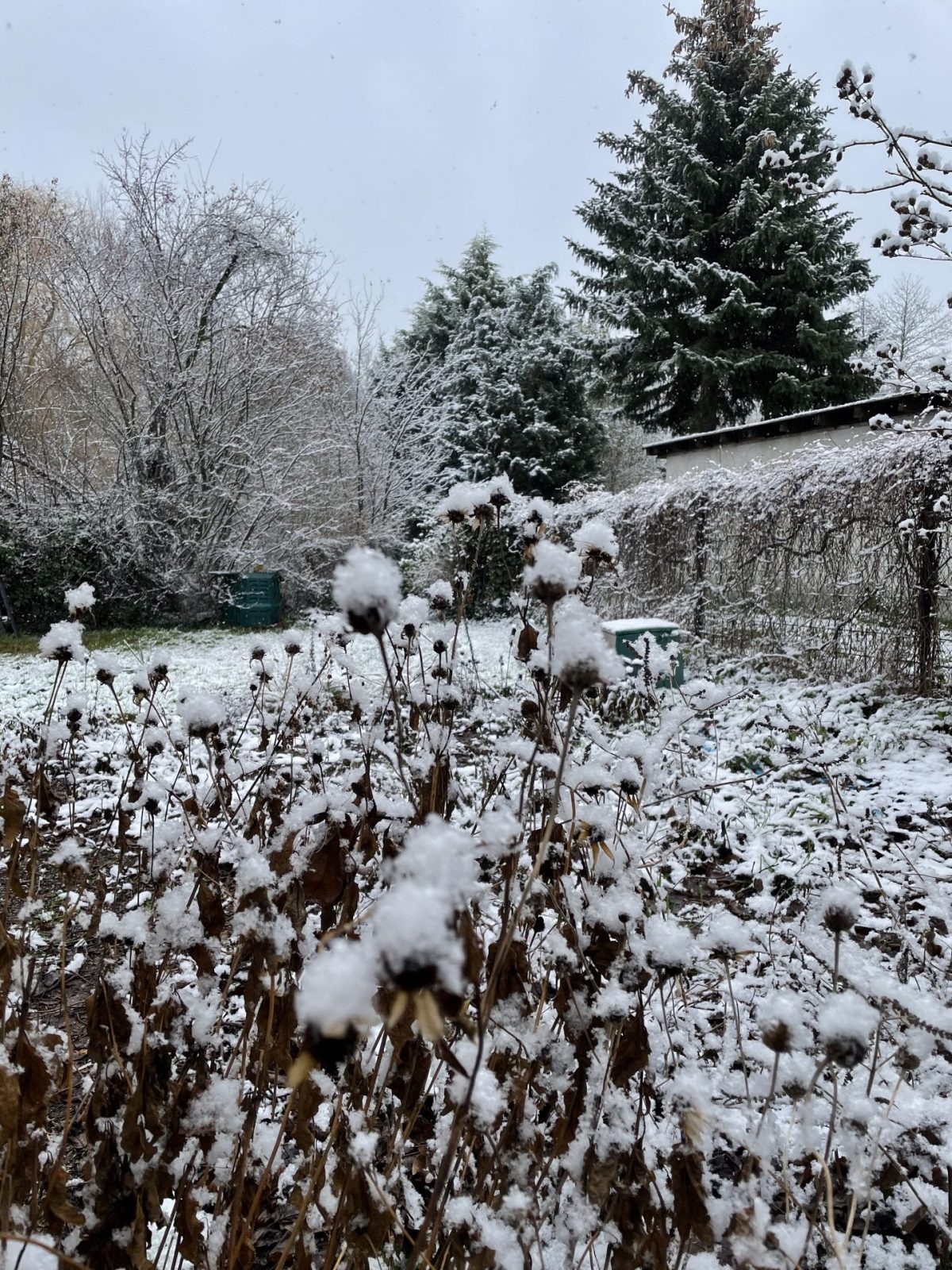 A318F6D1-F070-482B-8542-7856BF9BED2B