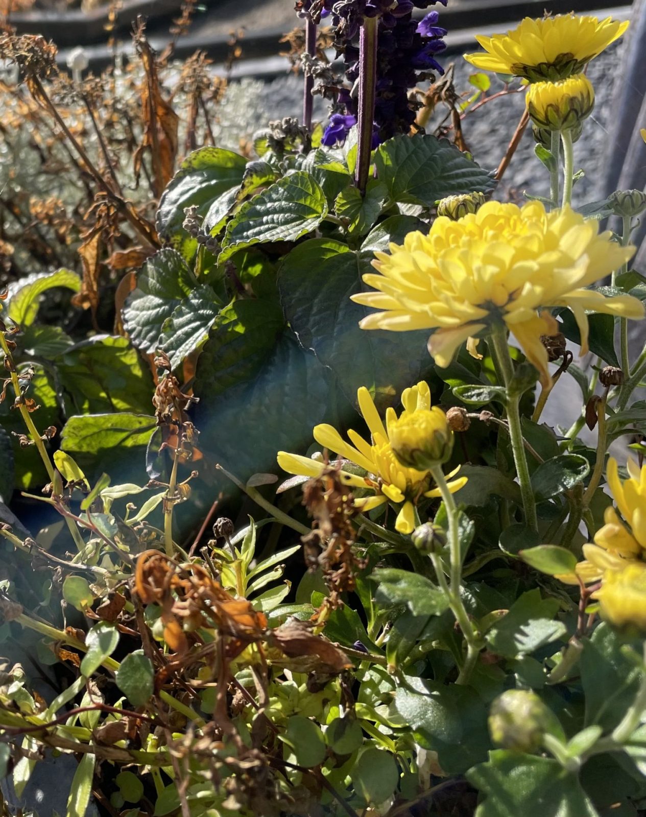 A3F42E17-F08A-48BE-ACE2-8C575A6CAF7E