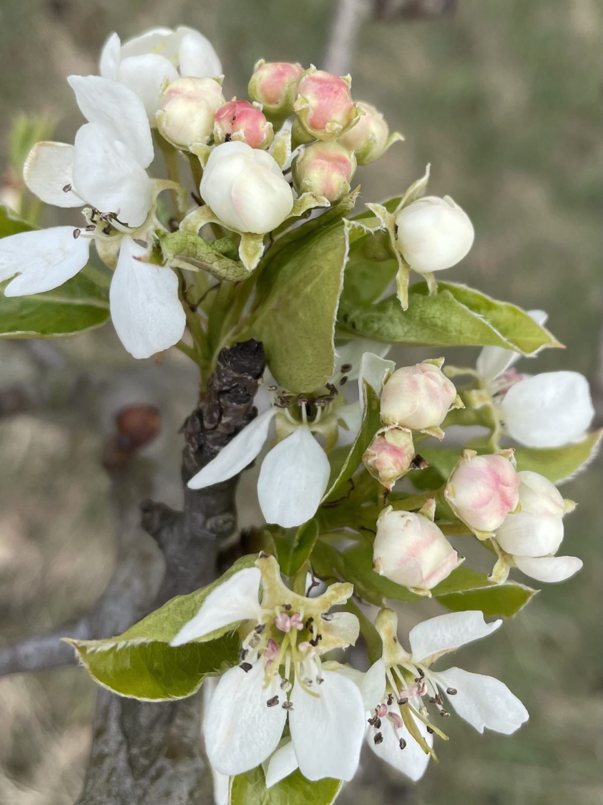 A402D7EC-1445-4EED-A28B-2BC445B30D2C