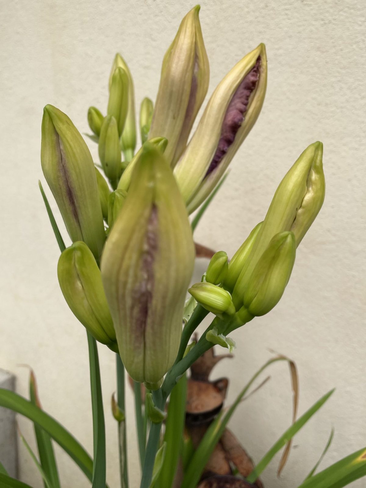 A4E1BA9D-AED9-408D-A3BA-25905B71A4A2