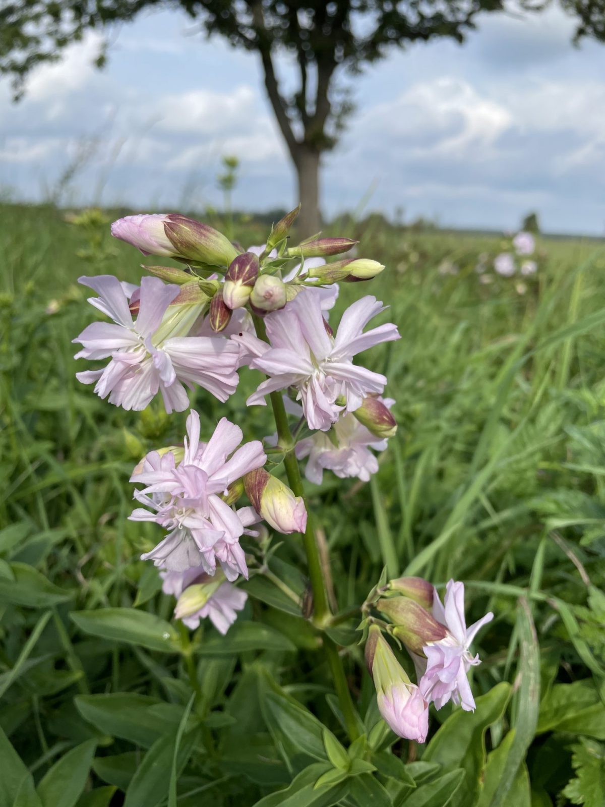 A5037273-4B72-4765-9DD5-510140053670