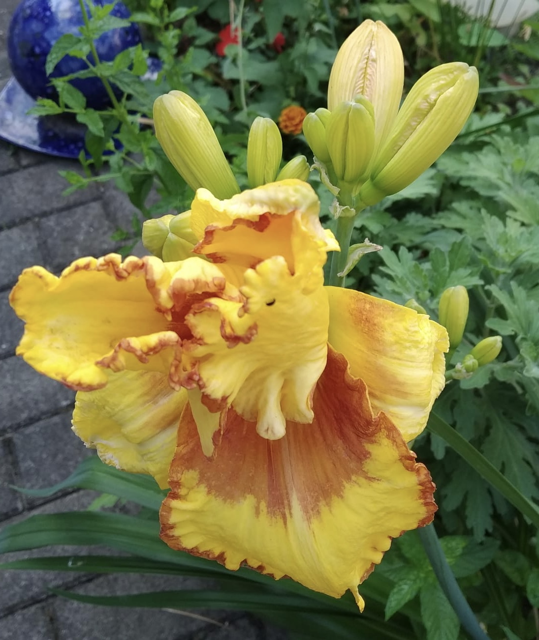 A5464639-1257-4B47-9407-BD781B756DBA