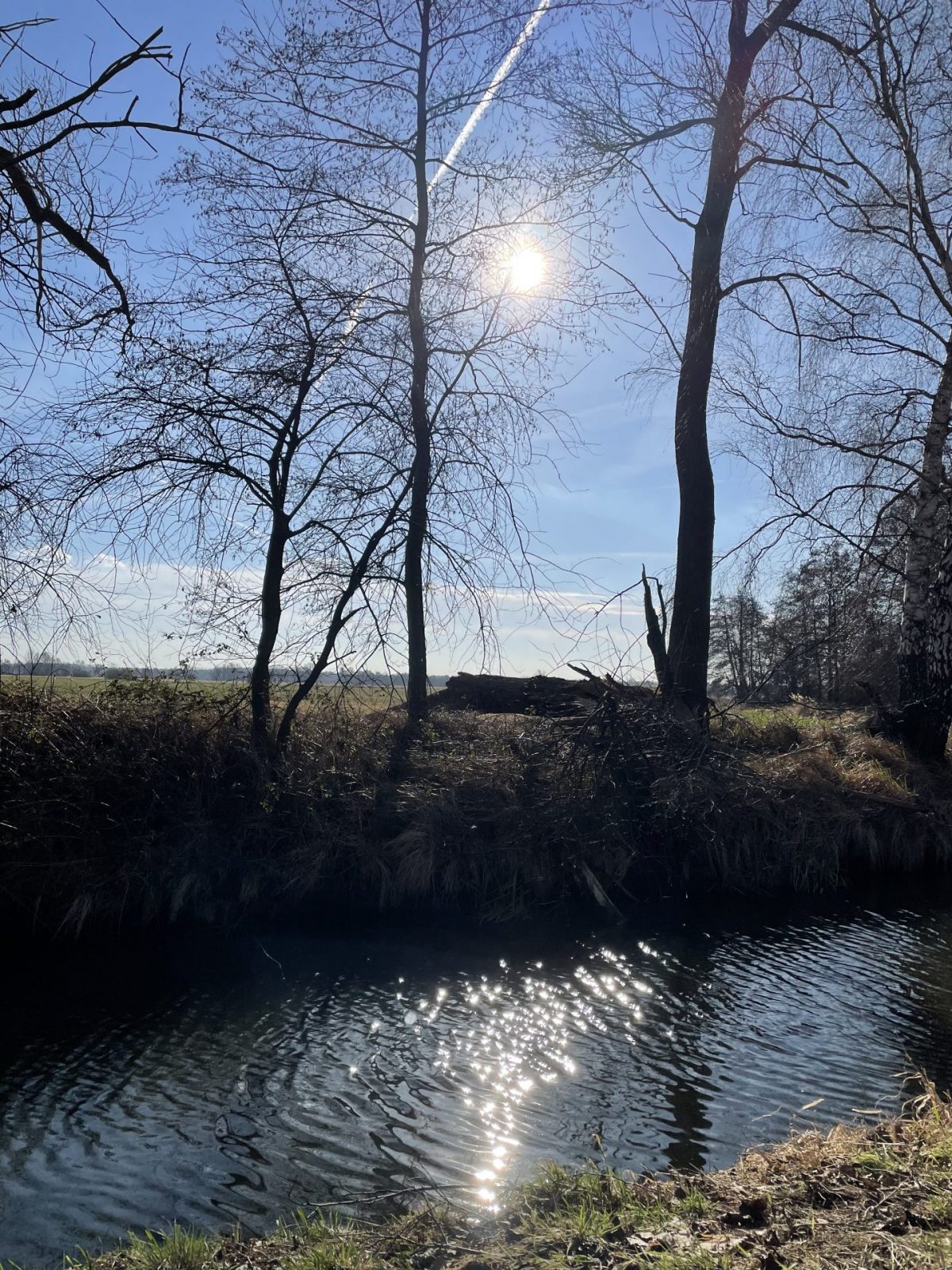 A54CE1EE-E17B-46AC-8903-8418E6BDCFC1