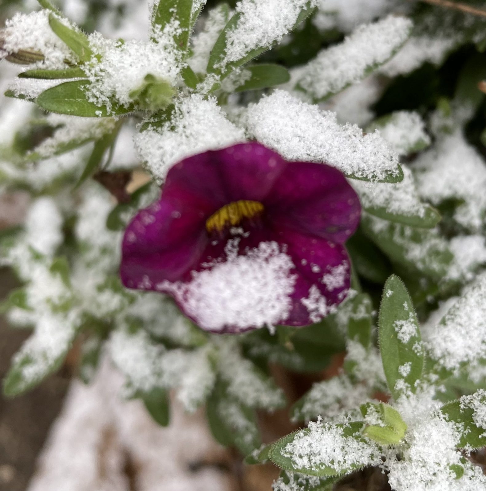 A577A629-9C17-4DB1-93F8-5F20FFE1D200