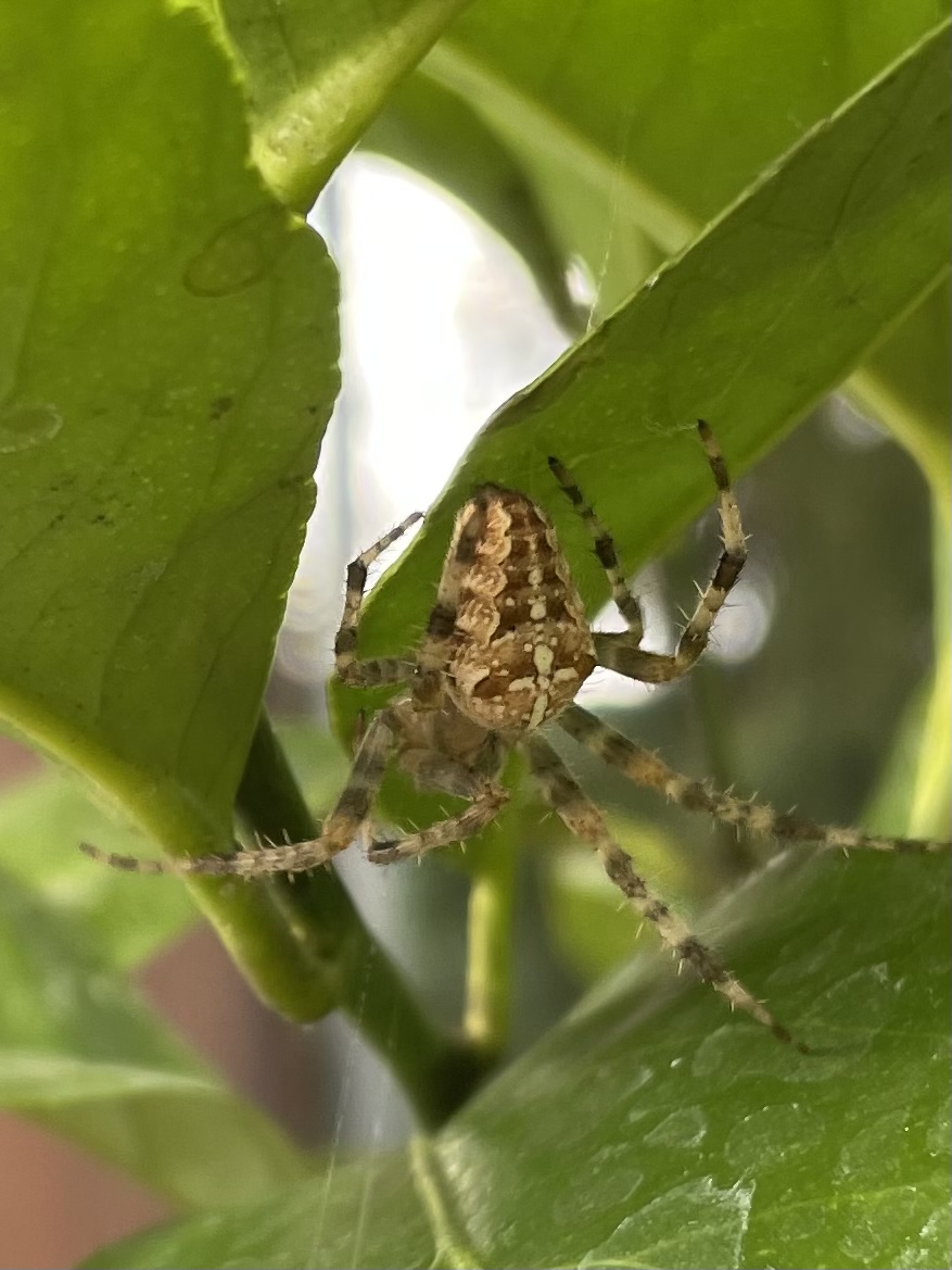 A6606287-63E8-4BBD-BBEB-E7B86D5E0560