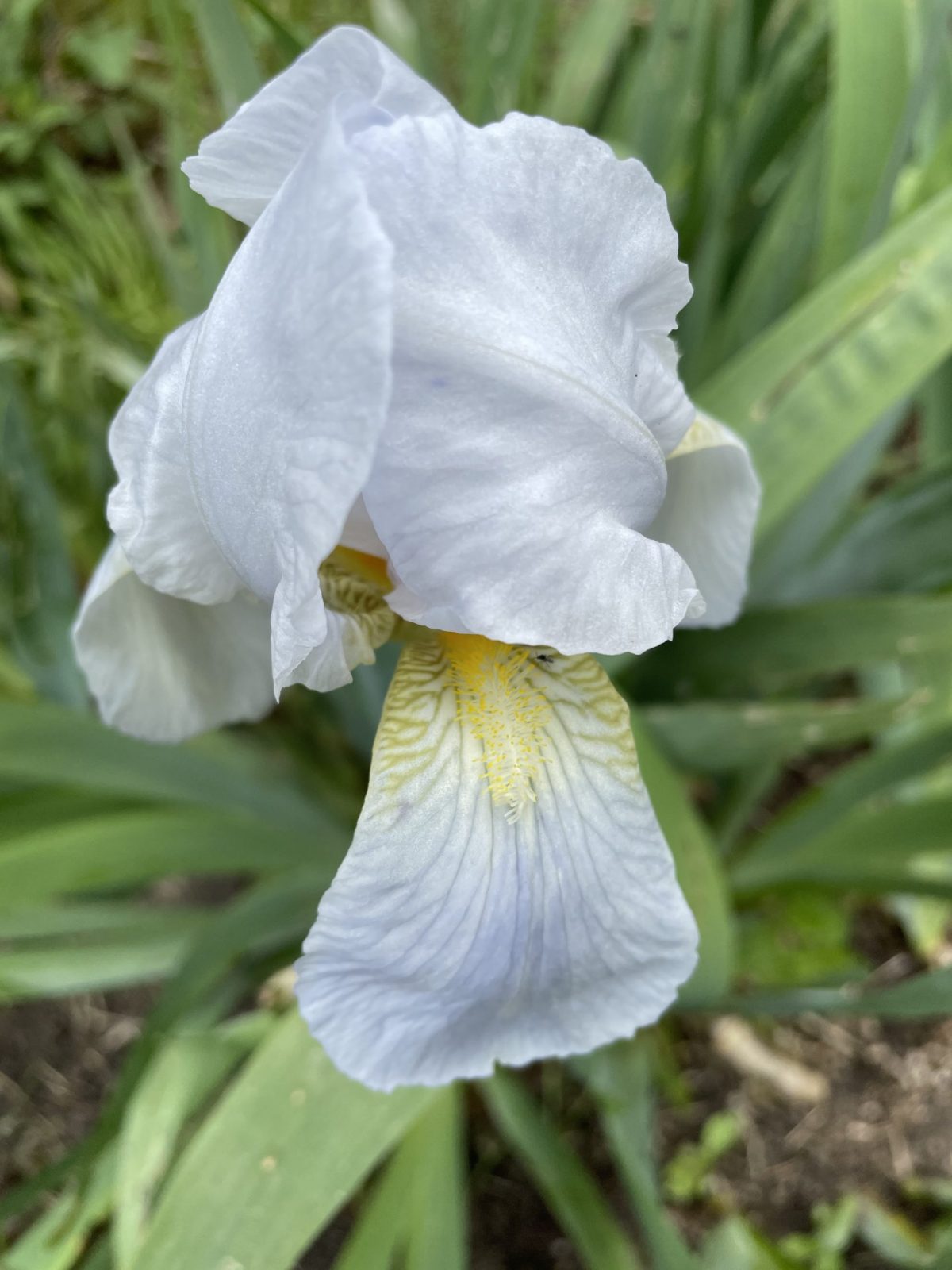 A6D7C8DA-668B-4C19-BC7C-42DAAFAD3B67