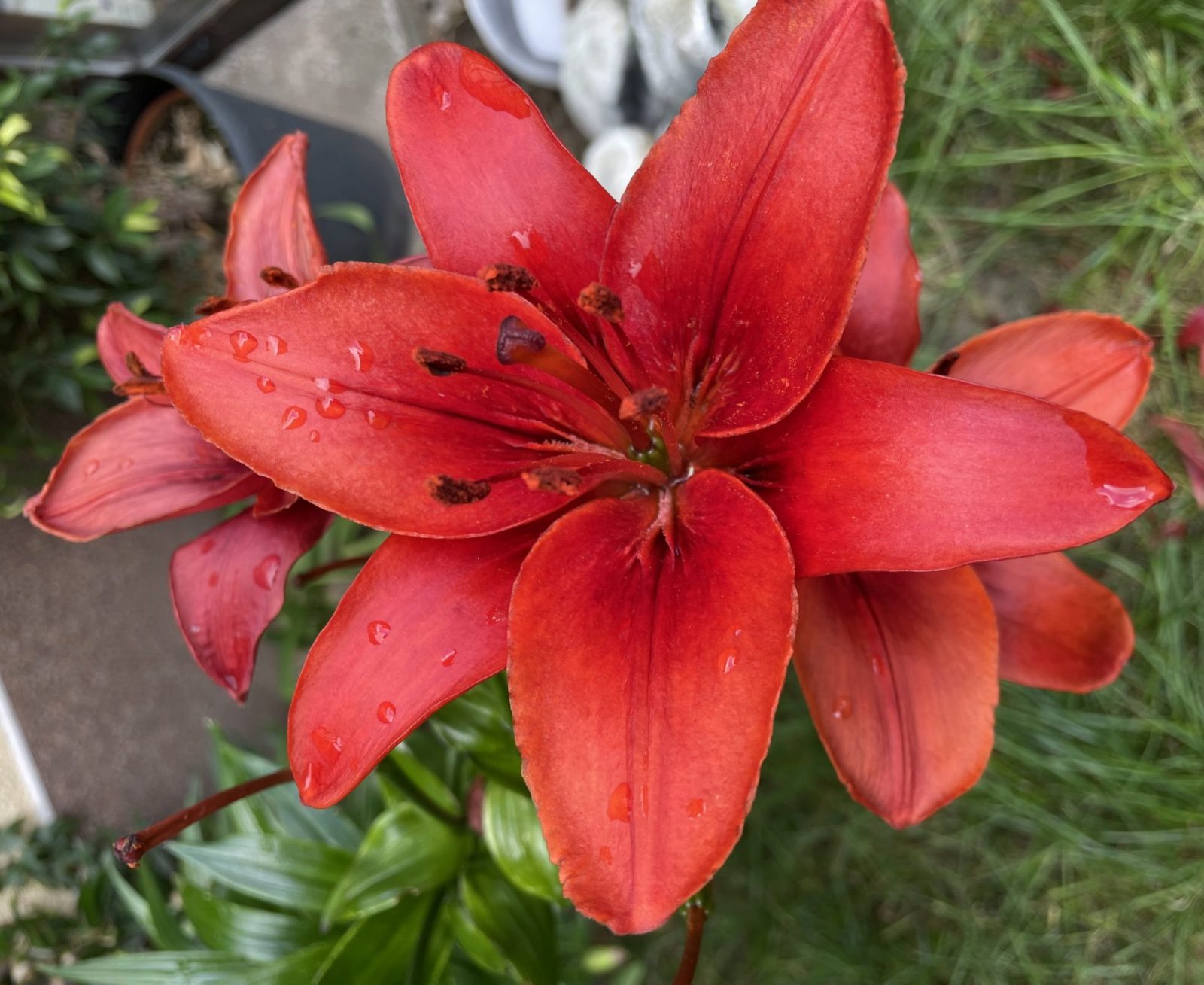 A7079734-D139-411B-8E9C-4724A794D55E