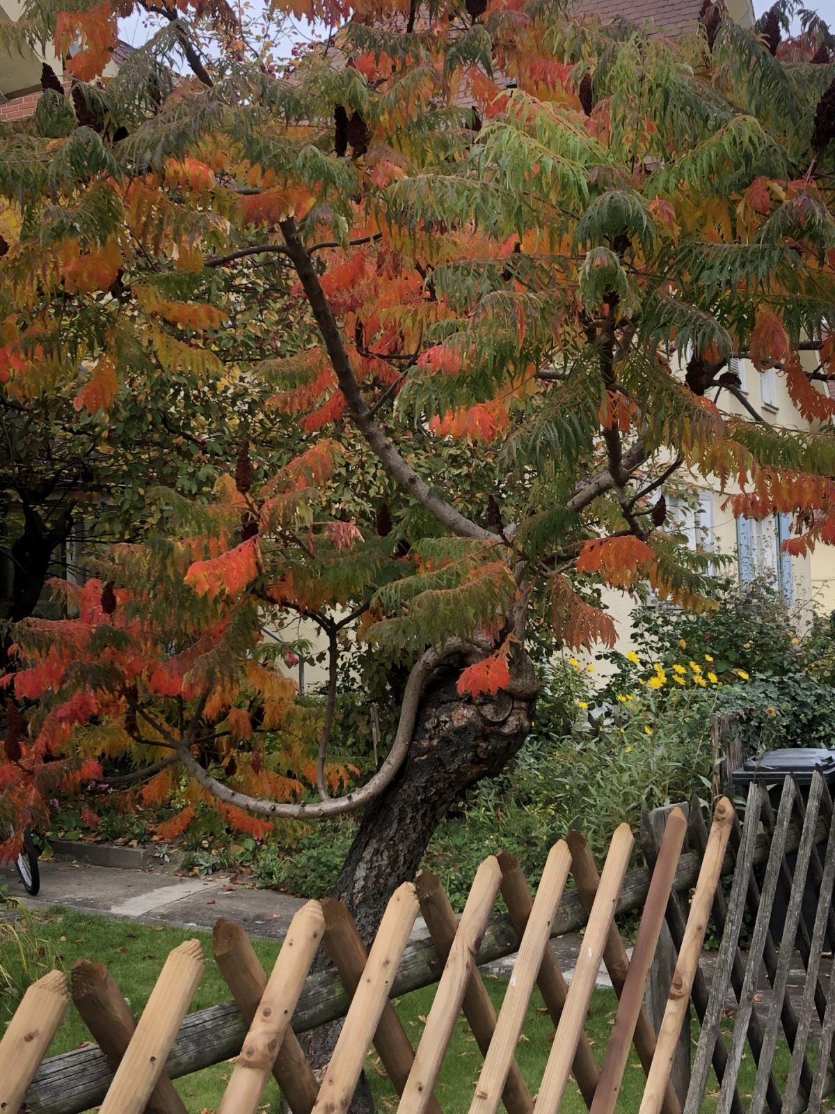 A70AD7A4-099C-411C-ACE7-B40771593ED4