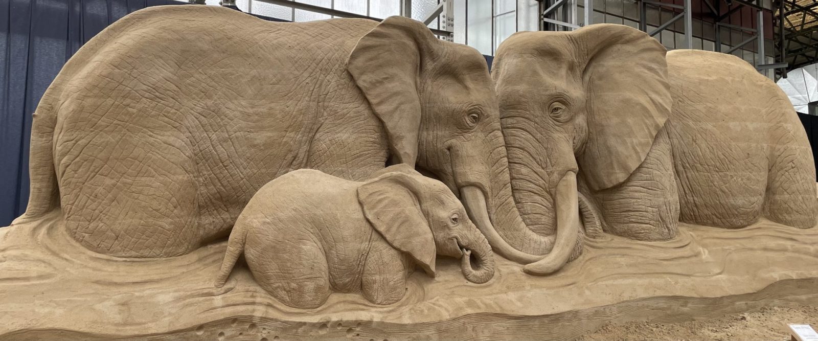 A71DBA4A-9CEB-47DB-984B-131E4BF6E4D4