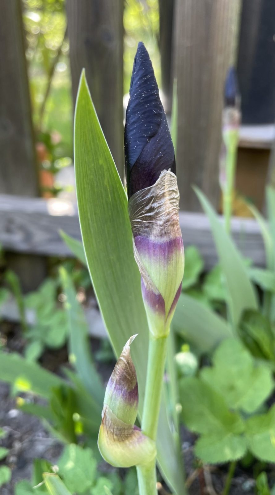 A753843D-FBE4-44CA-8CCE-14E69AB44C8F