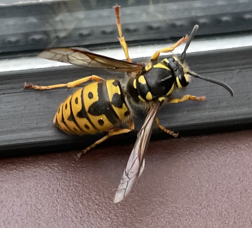 A7712B81-76F7-43F4-95E0-17F9F99D1880