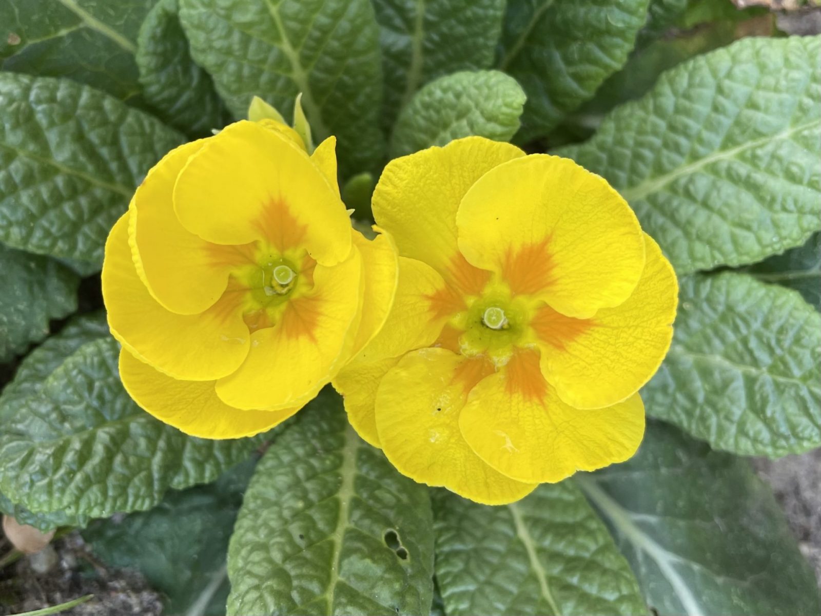 A7C300D7-4C80-4074-8D11-F2411928116C