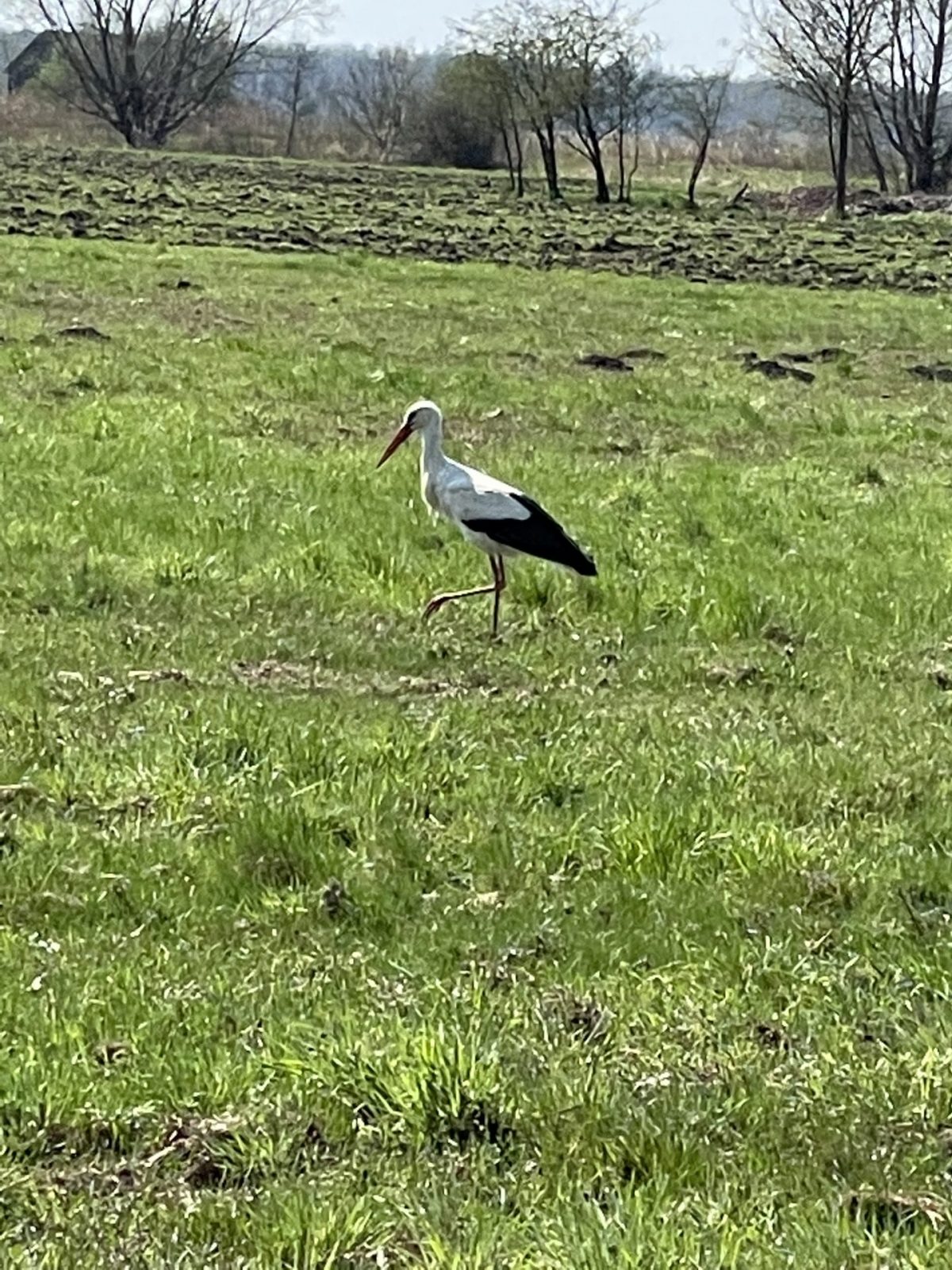 A7E71148-D9AB-47CD-9DCB-D064377C86B6