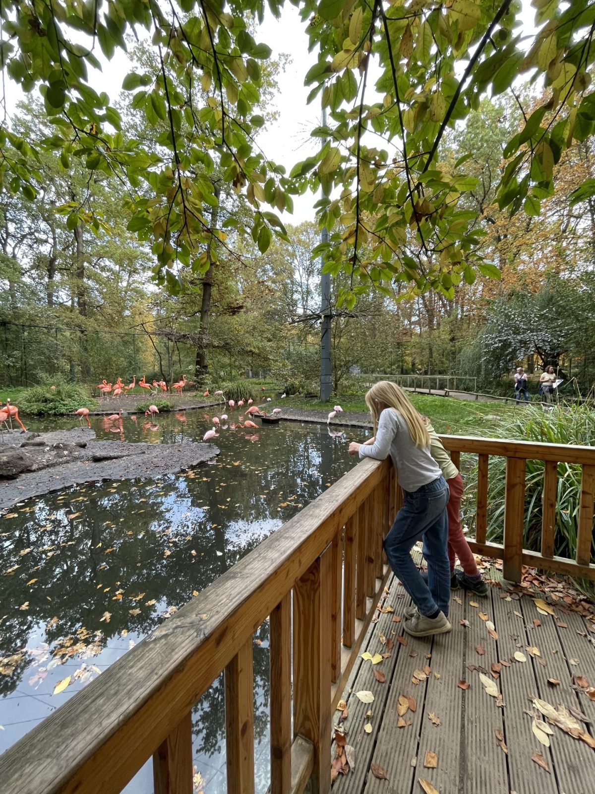 A8033D6A-7F6B-42E6-B370-AC9F2A25203F