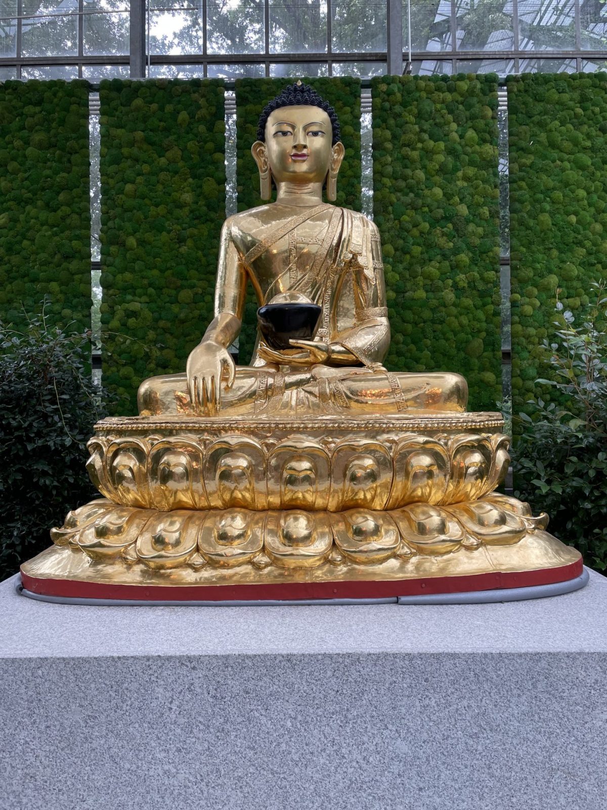 A8132AC9-4900-4BA5-8B96-209526AE920C