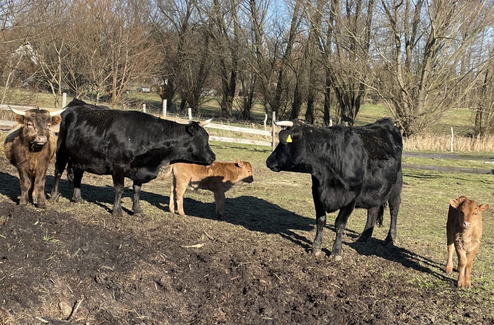 A89AE316-17DF-4E00-AF44-2C88064D2E3D