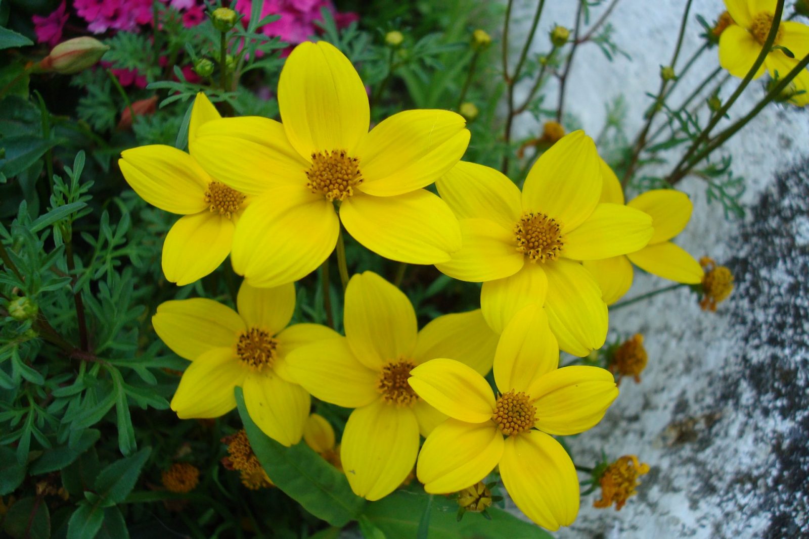 A8C6EF49-5BA2-4B71-B335-6EBF32E3BA5F