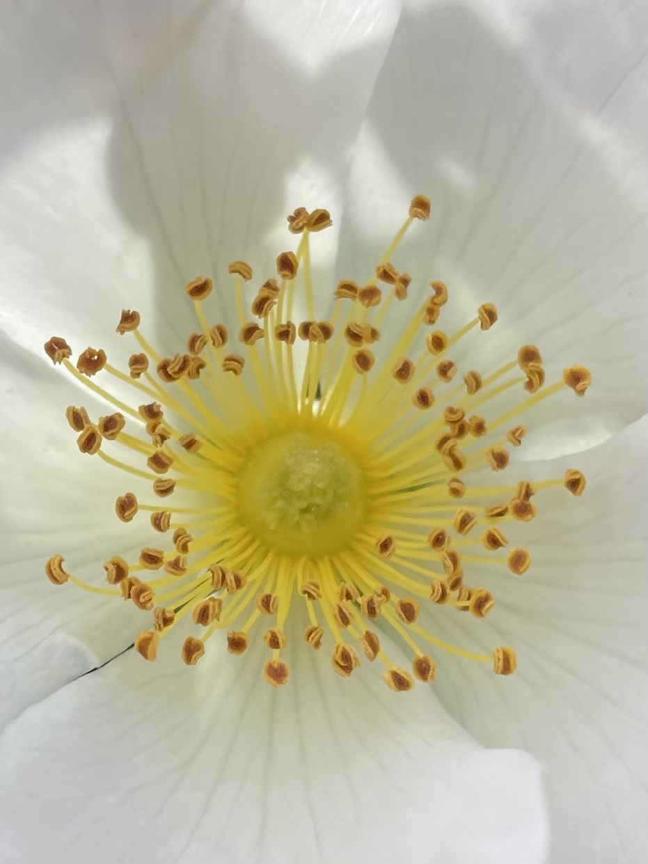 A8CD29C7-0061-4A76-AC38-9854927EC109