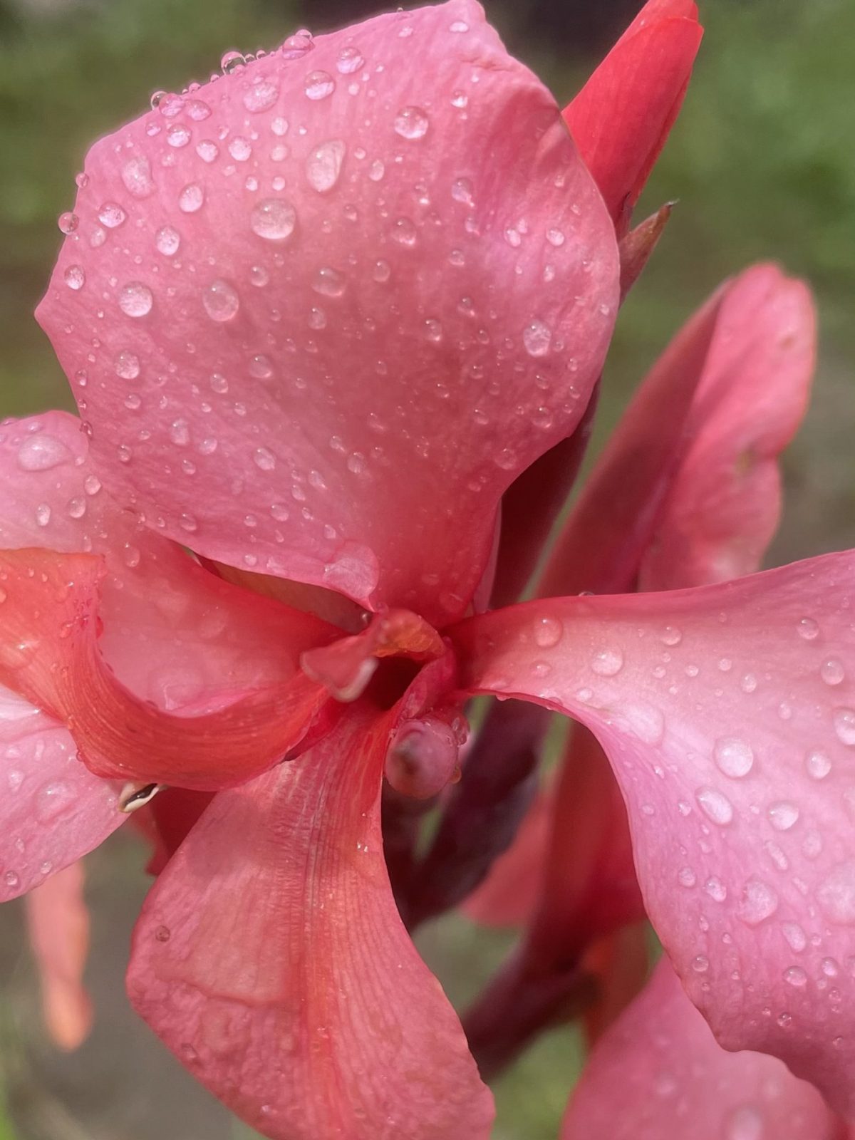 A930C902-9D91-4EB1-8F2A-68383B4326EA