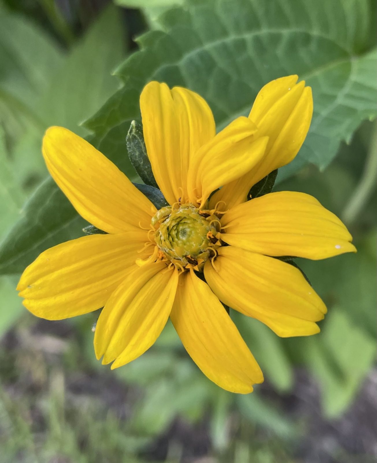 A9DAC8DB-5BAC-4AC0-8C9E-202D8C228570