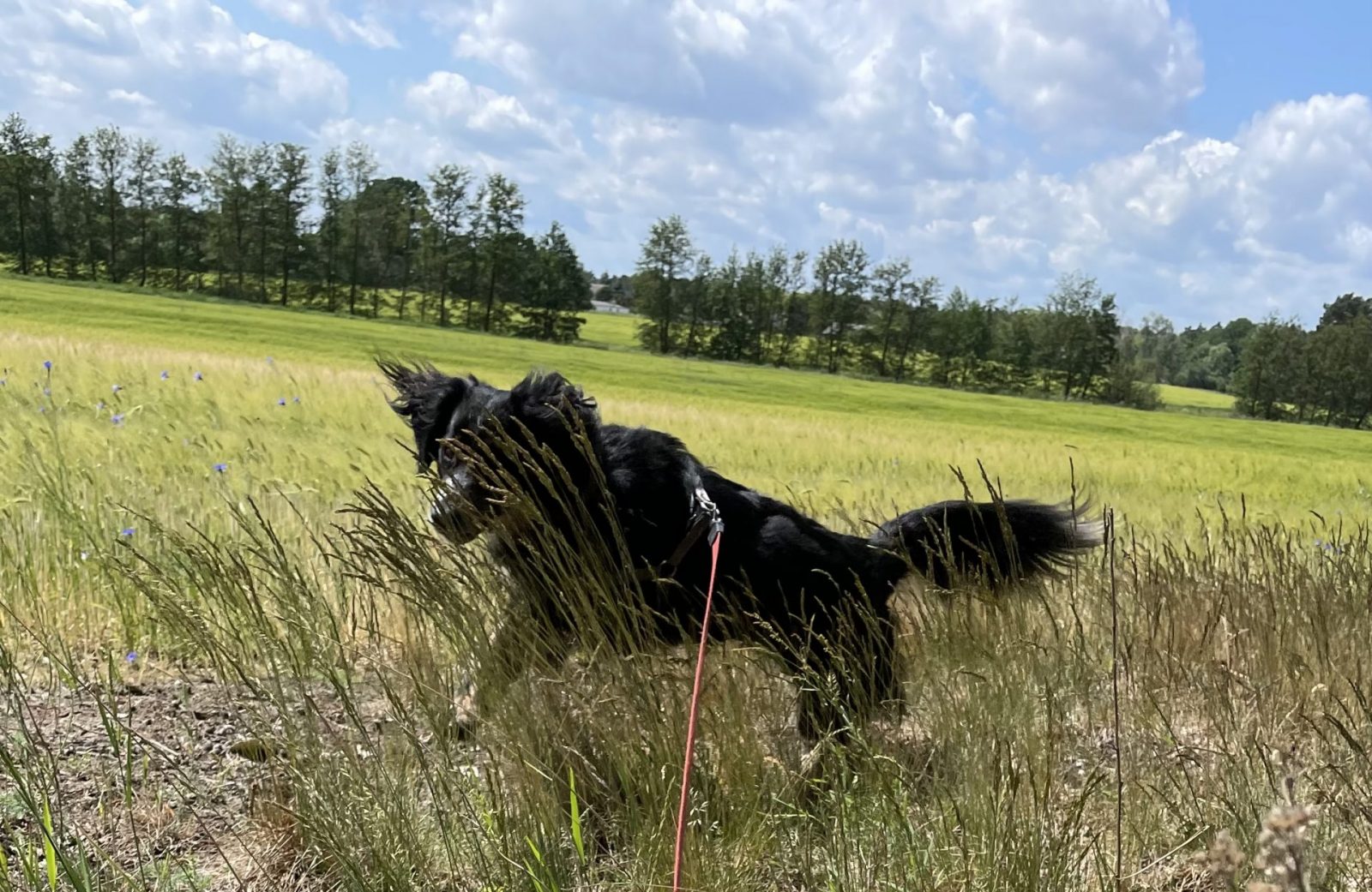 AA28288C-DEDF-4282-AE7B-DEE5C4A6341C