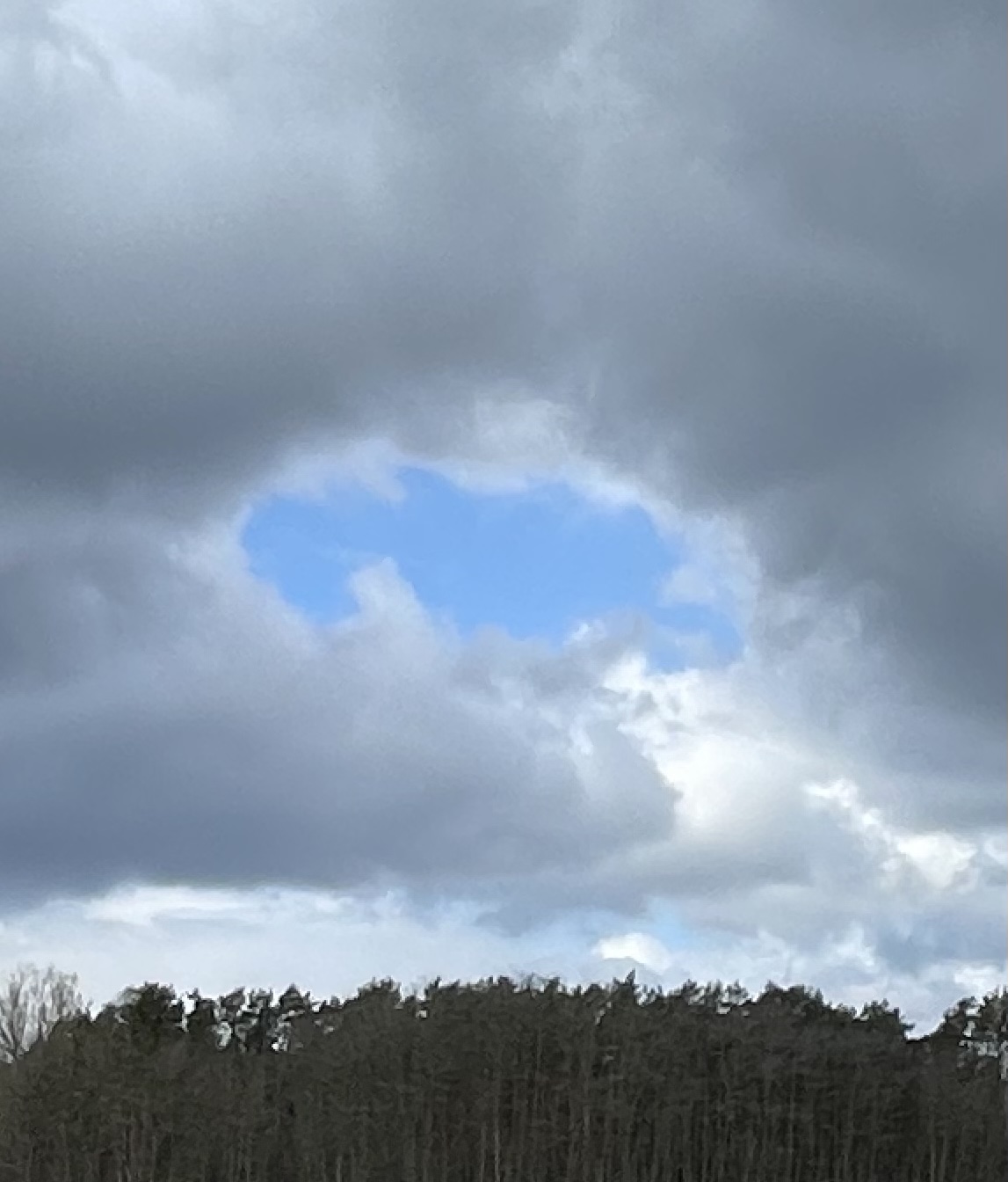 AA5ACC2C-4128-4BFE-B6C1-FDCF71629CA2