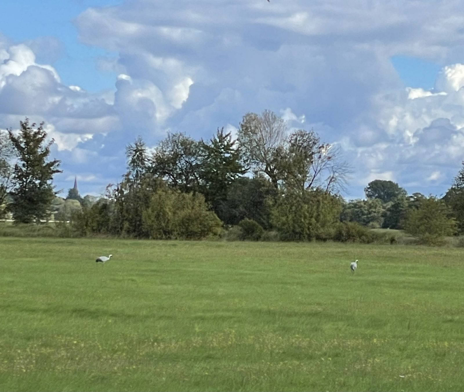 AA8B0115-83F4-43C0-9895-C1D0FAF46BEC