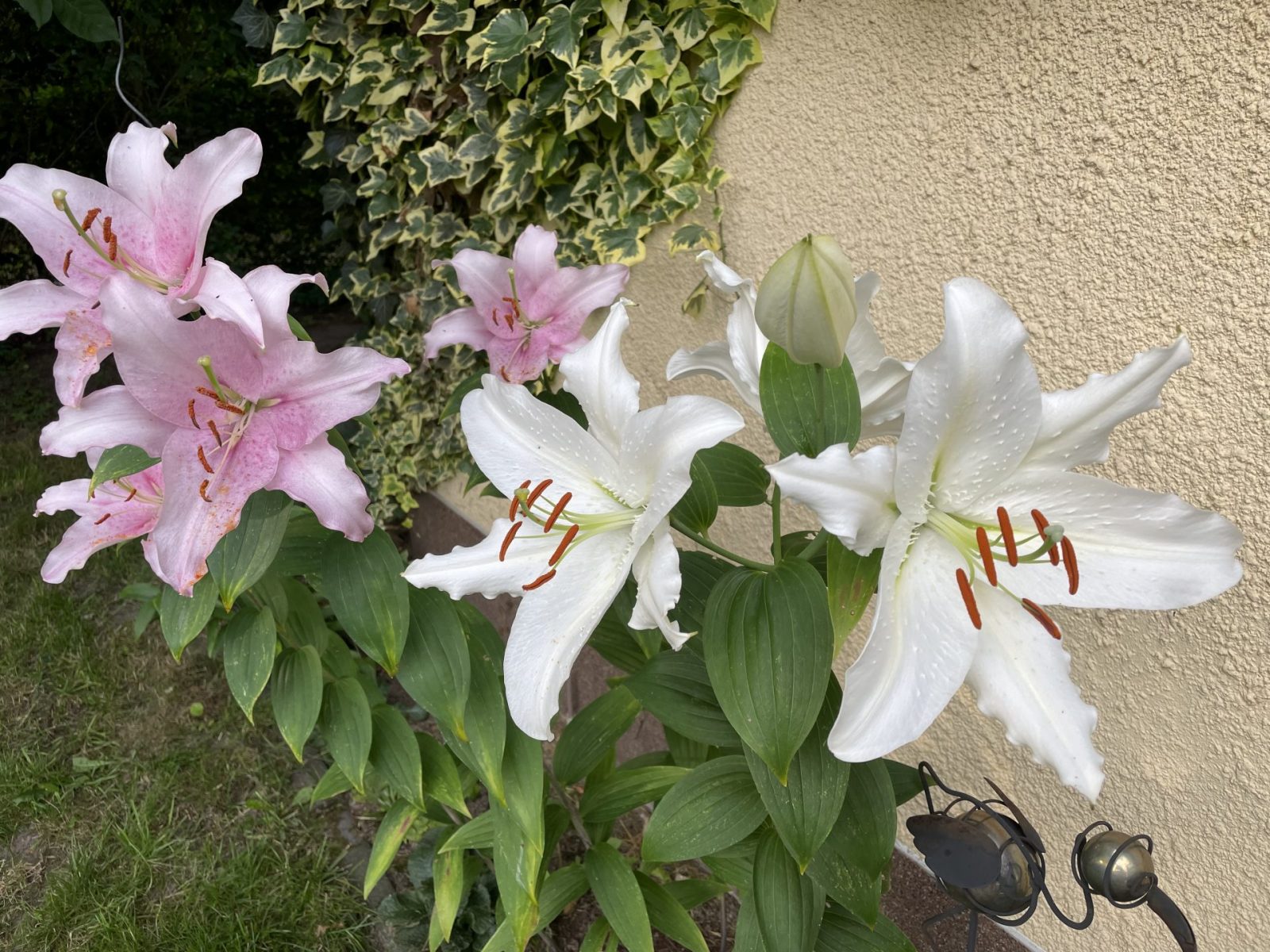 AA99D145-03F5-4B04-9367-F6E6C90AEAEE