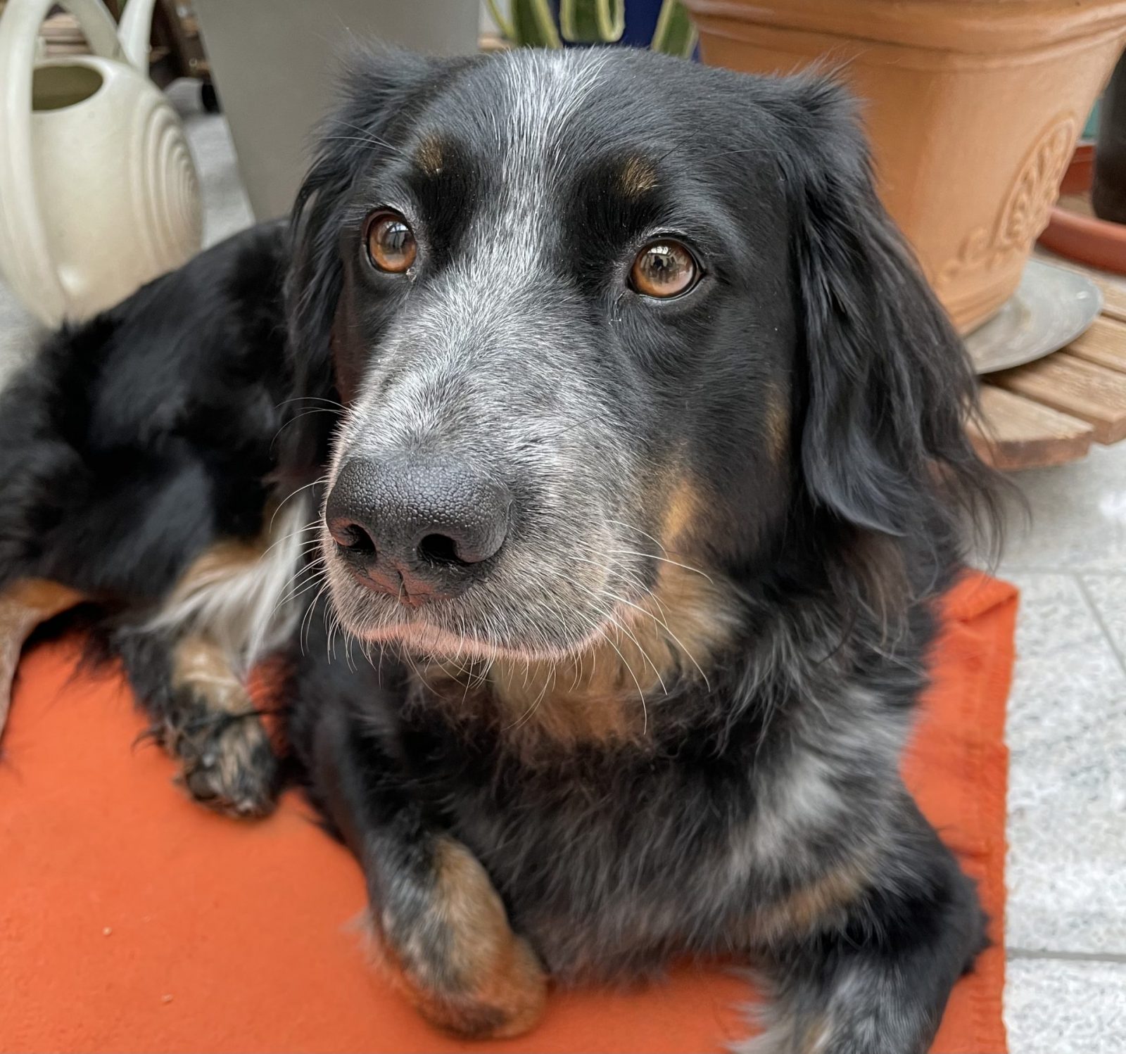 AB1A0563-C215-4FF3-A351-D01DC0327601