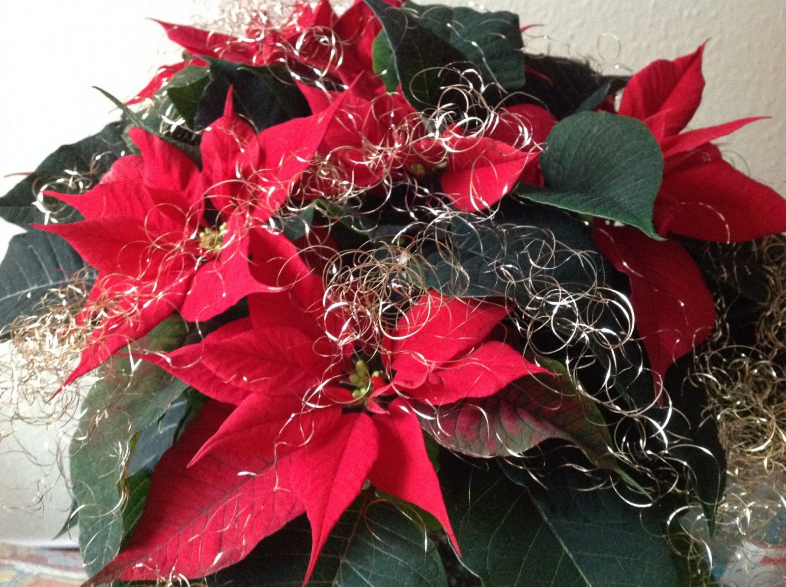 AB2FA478-DC0C-460A-A14F-182E2DBAA9F3