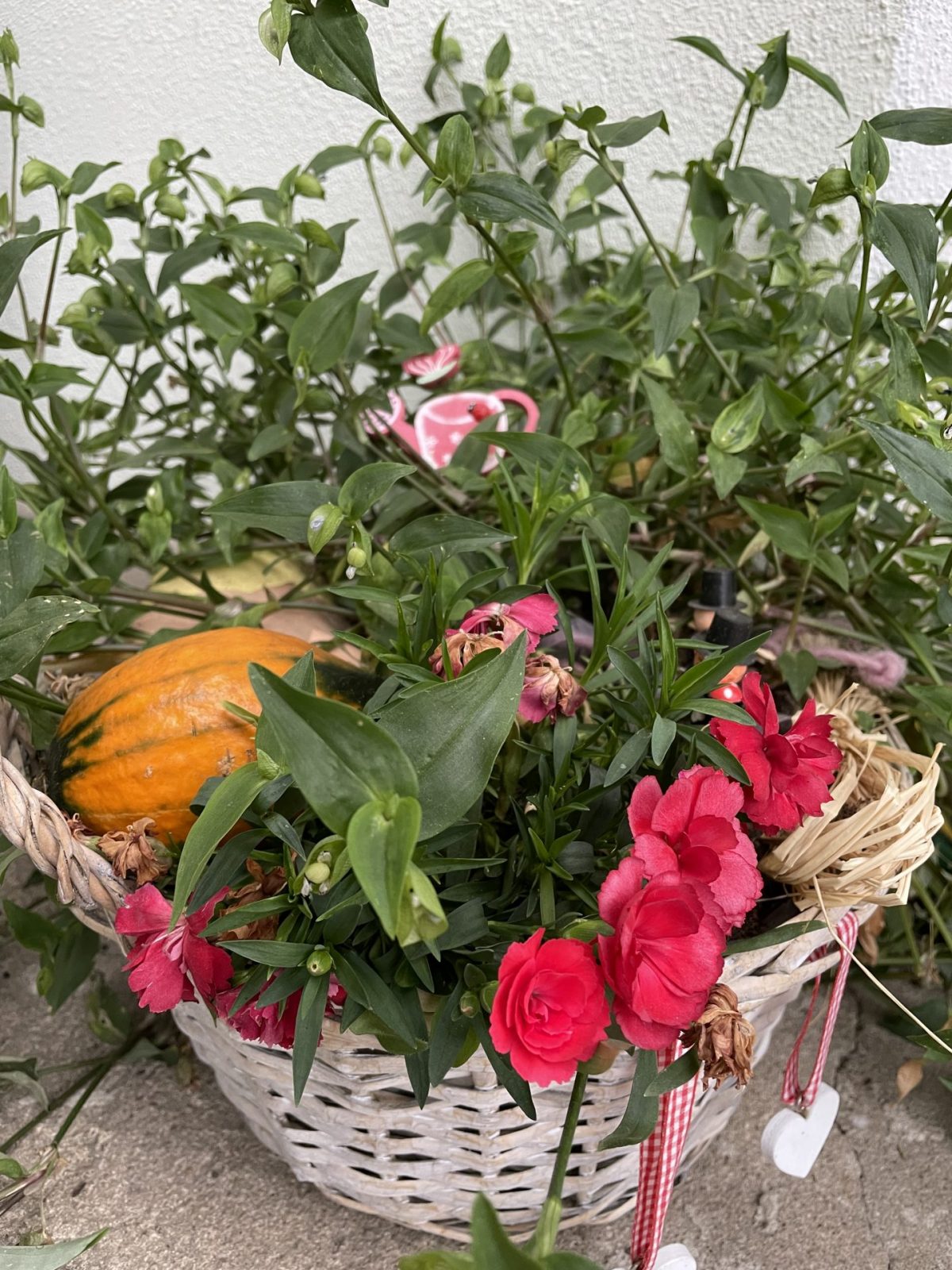 AB4F126B-861C-4EDB-A5EB-1DC9A268D81C